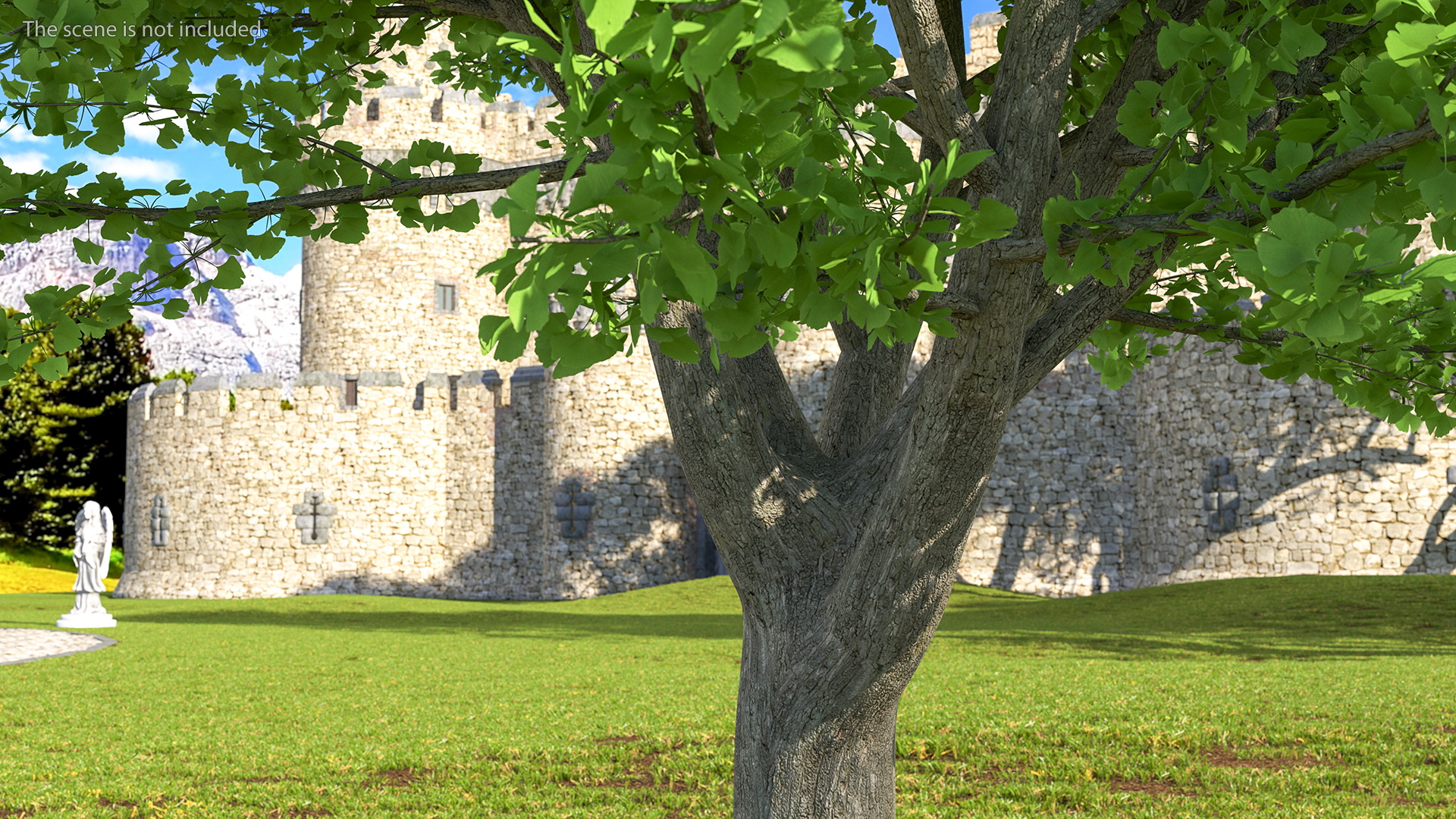 Ginkgo Tree Green 3D