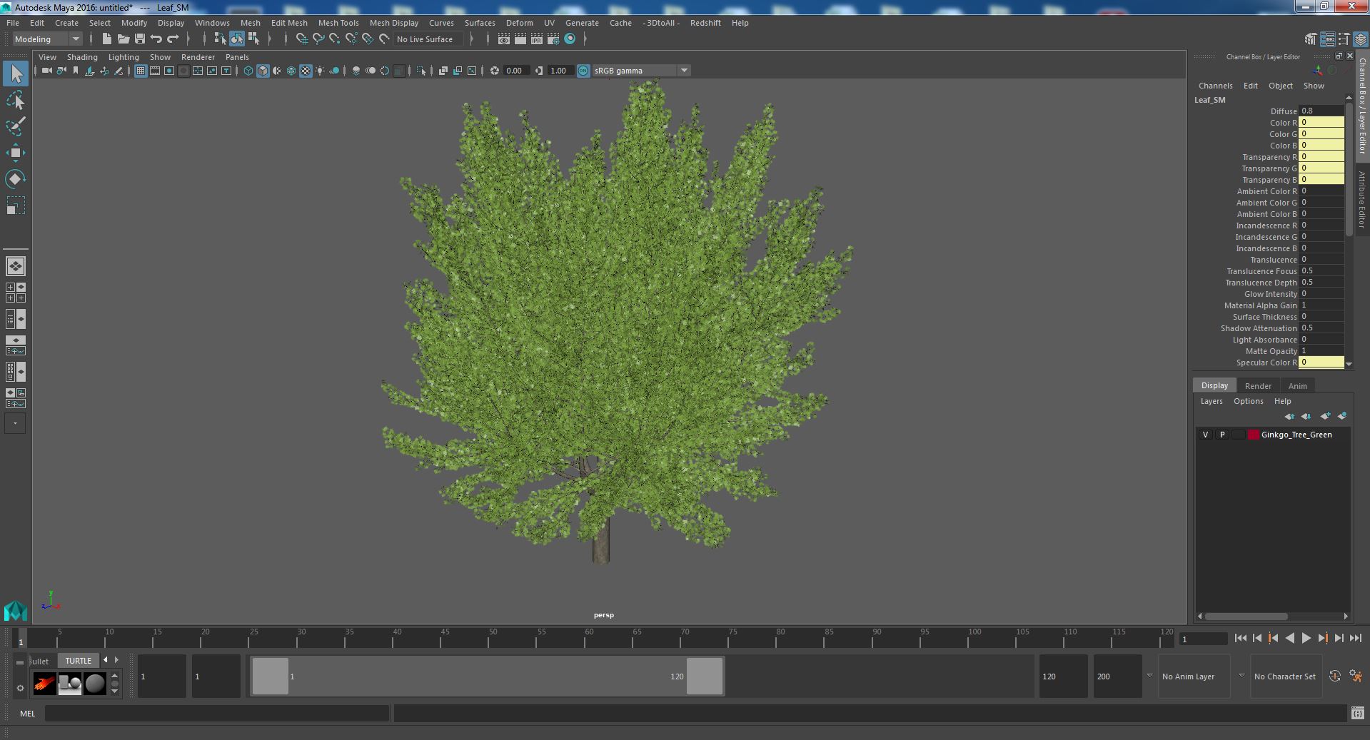 Ginkgo Tree Green 3D