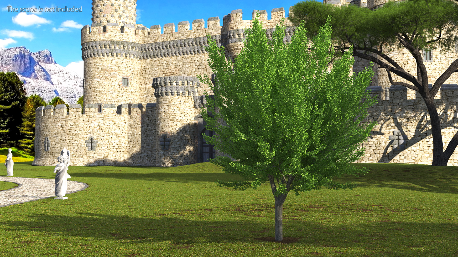 Ginkgo Tree Green 3D