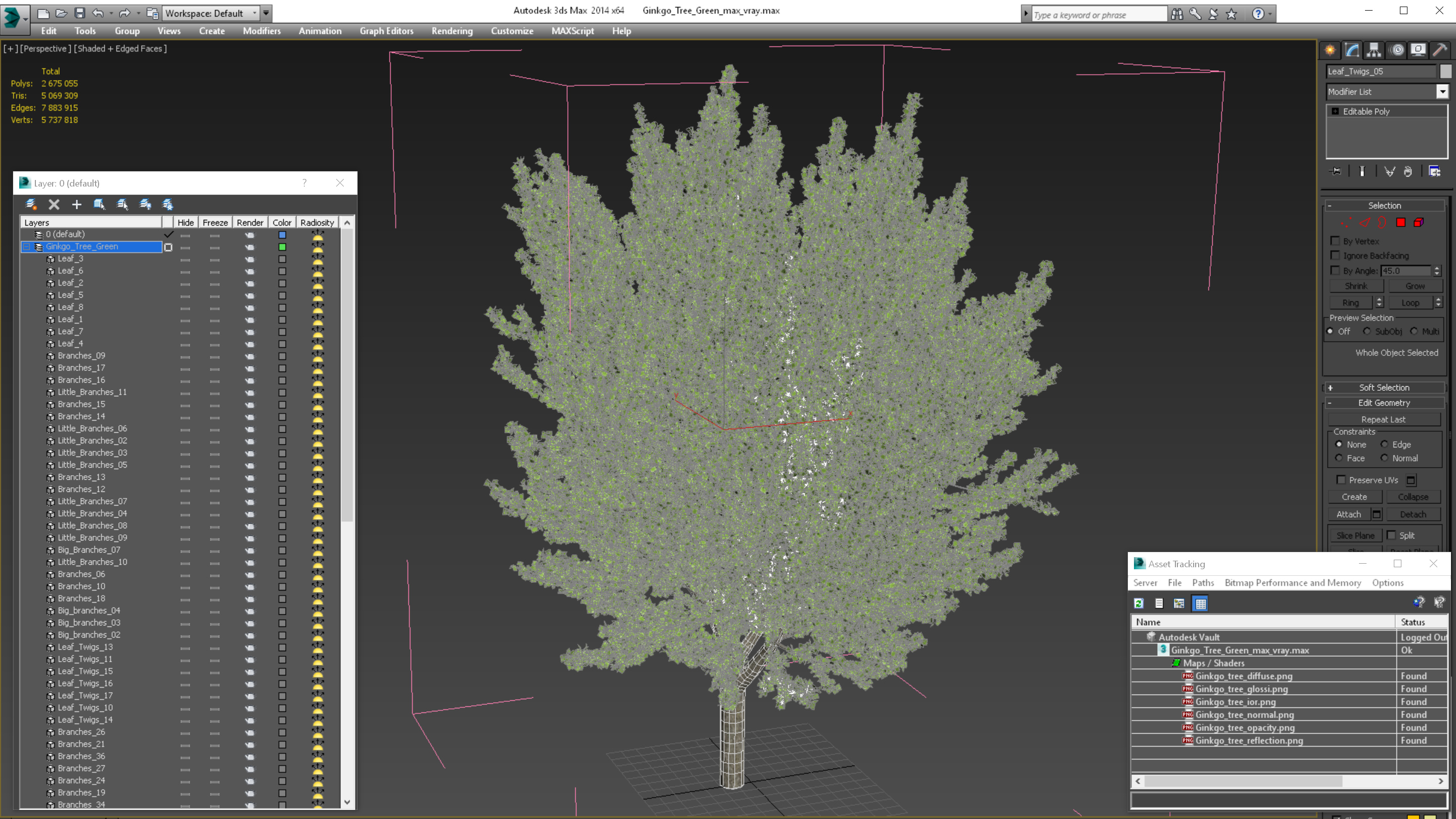 Ginkgo Tree Green 3D