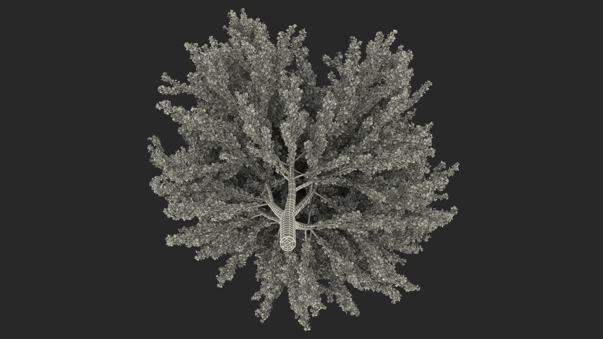 Ginkgo Tree Green 3D