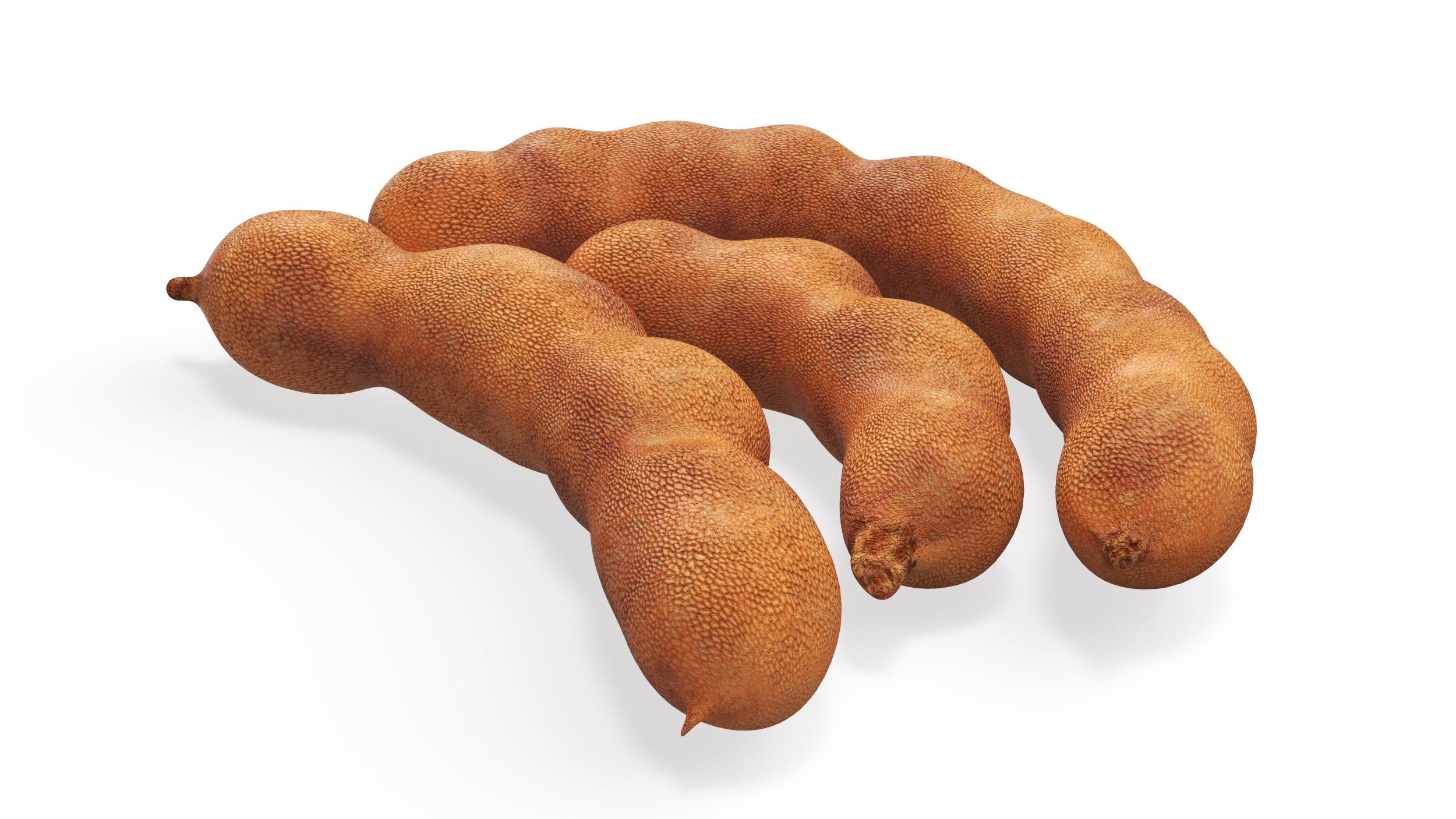3D model Whole Tamarind Tropical Fruits
