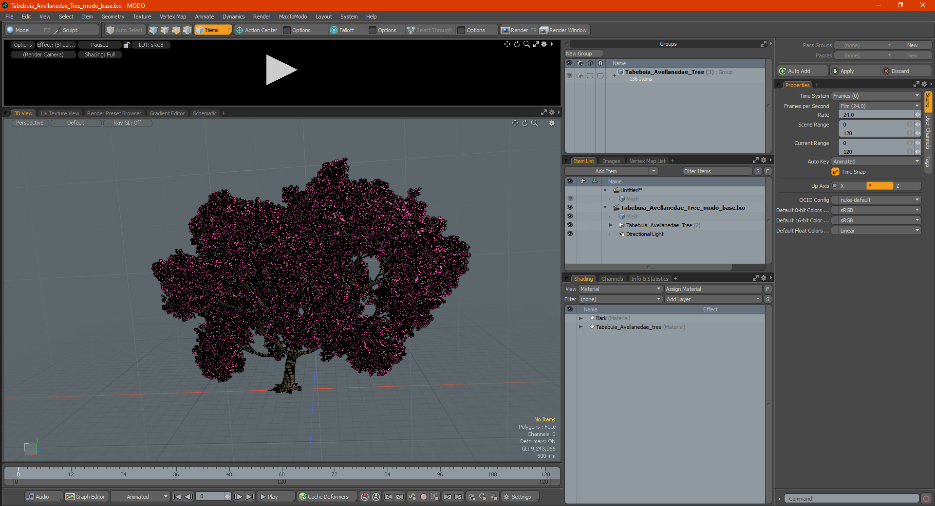 3D model Tabebuia Avellanedae Tree