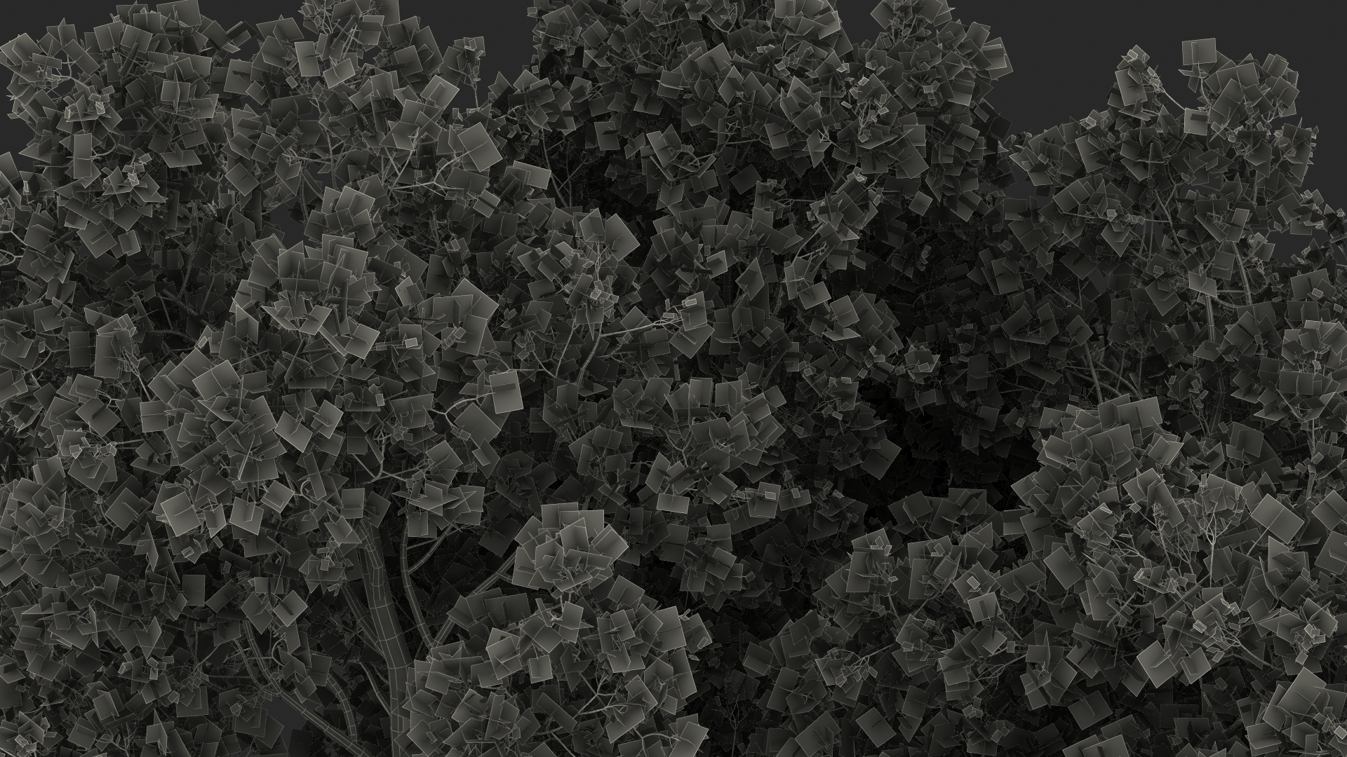 3D model Tabebuia Avellanedae Tree