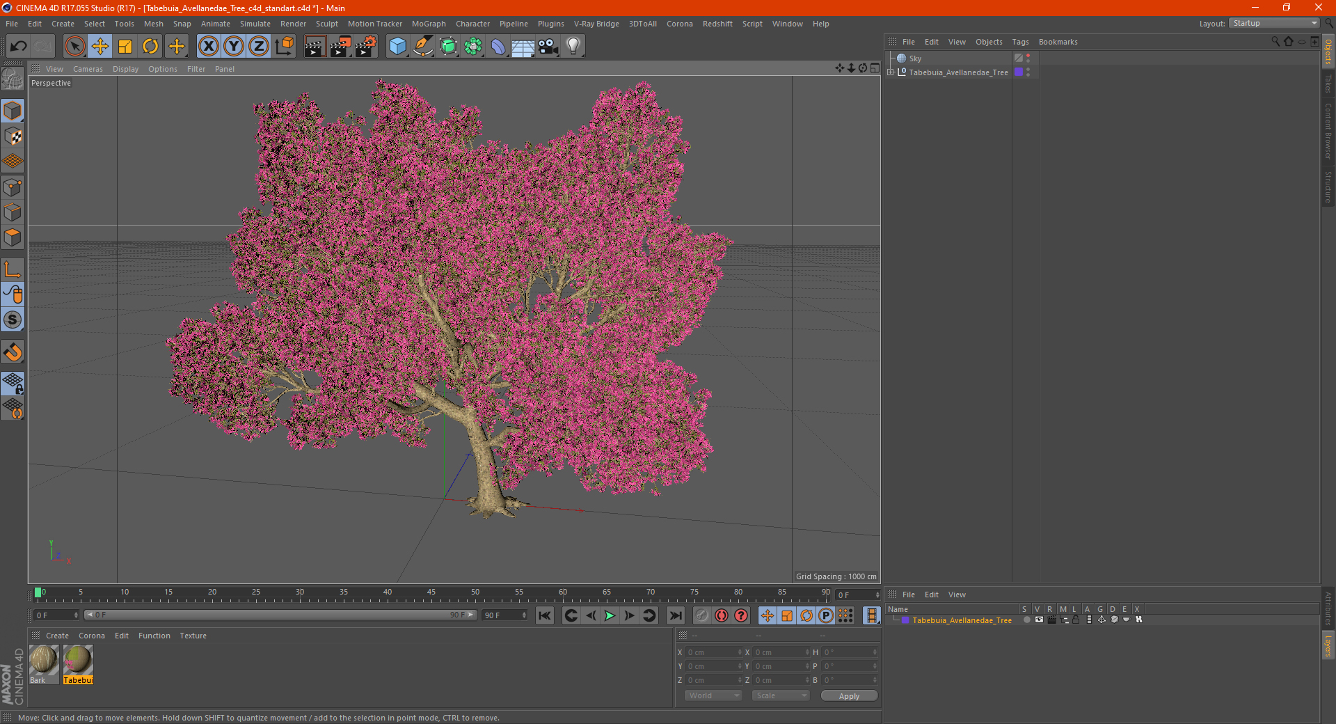 3D model Tabebuia Avellanedae Tree