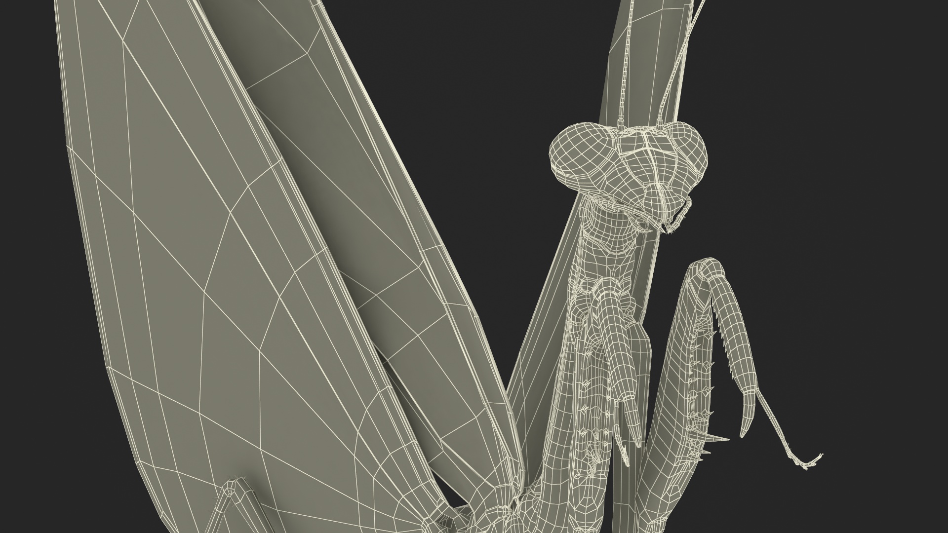 3D model Praying Mantis Insect Fur