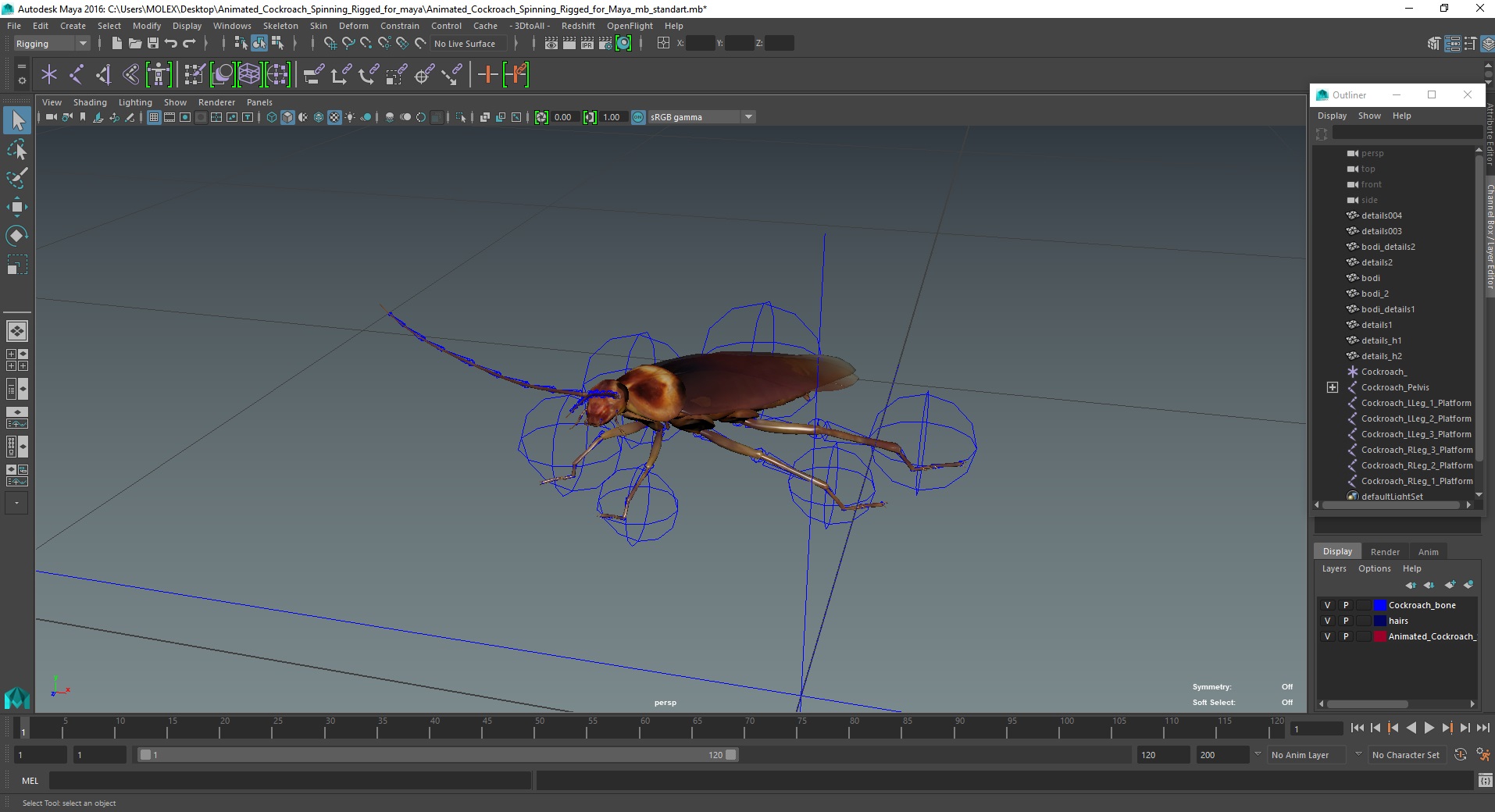 3D Animated Cockroach Spinning Rigged for Maya model