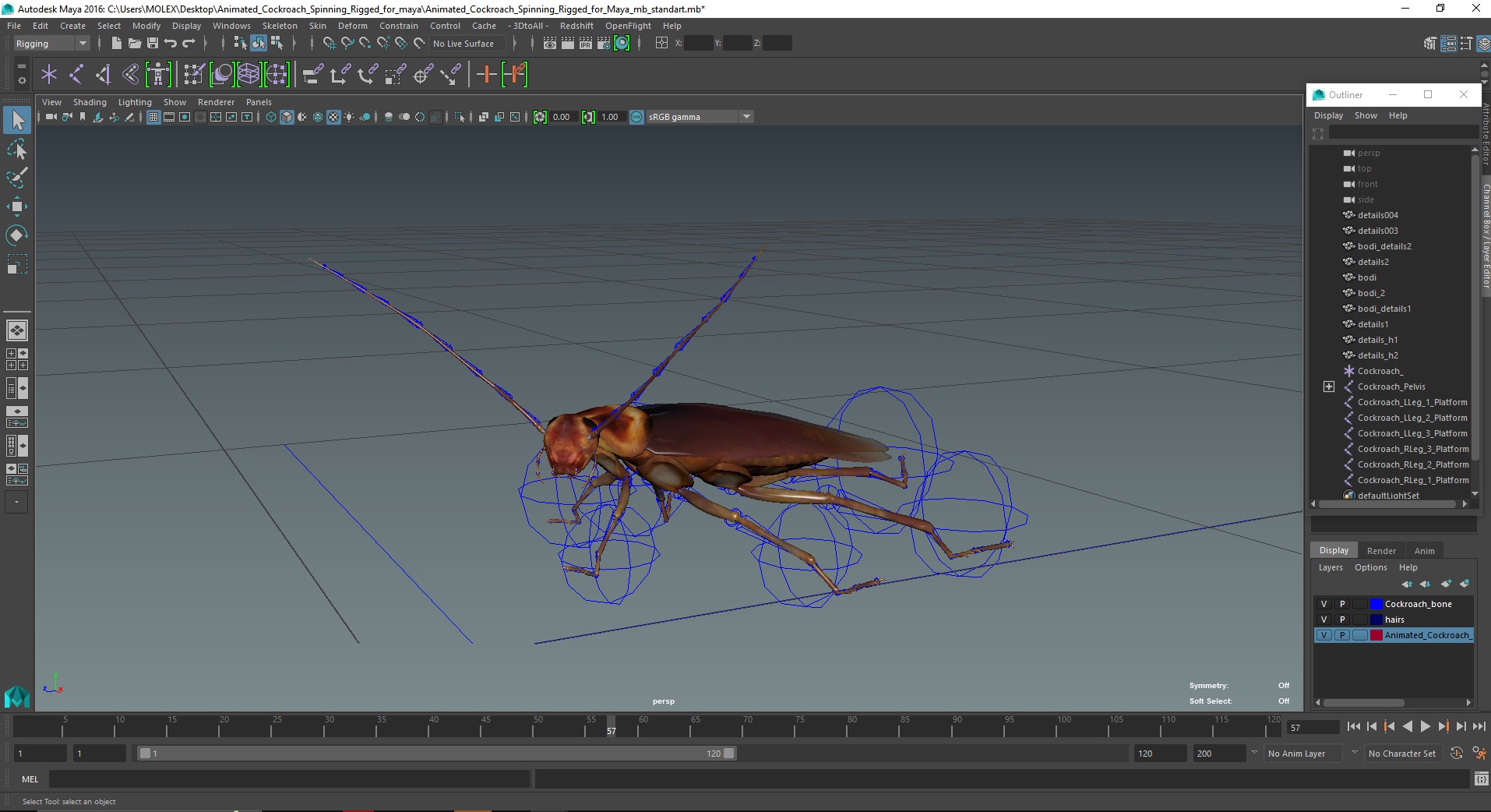 3D Animated Cockroach Spinning Rigged for Maya model