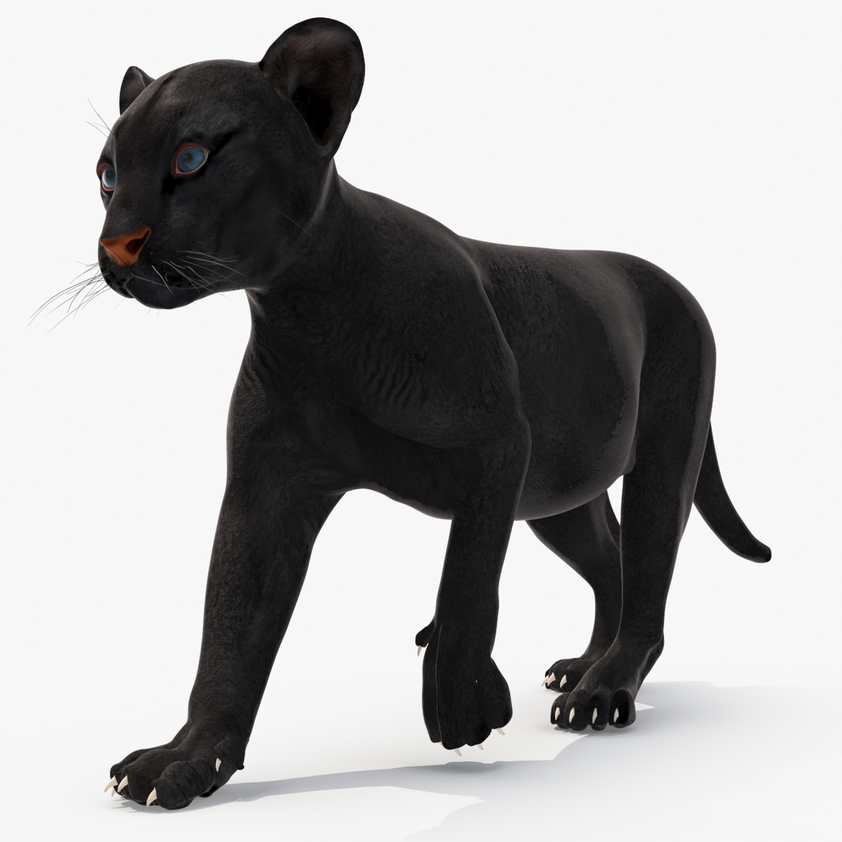 Black Panther Cub Rigged 3D model