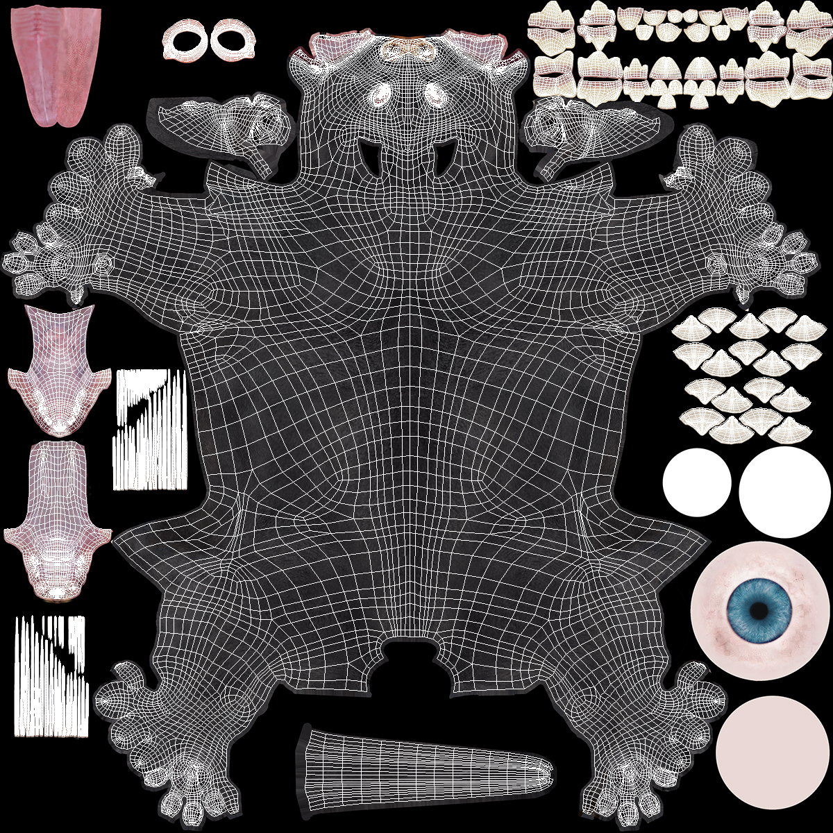 Black Panther Cub Rigged 3D model