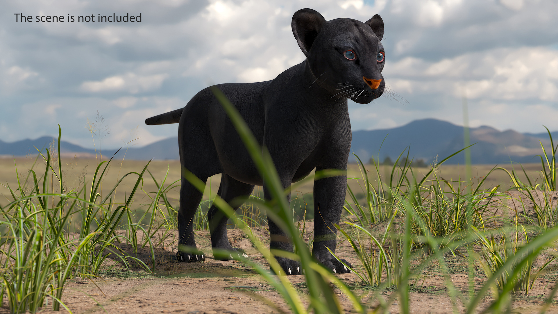 Black Panther Cub Rigged 3D model