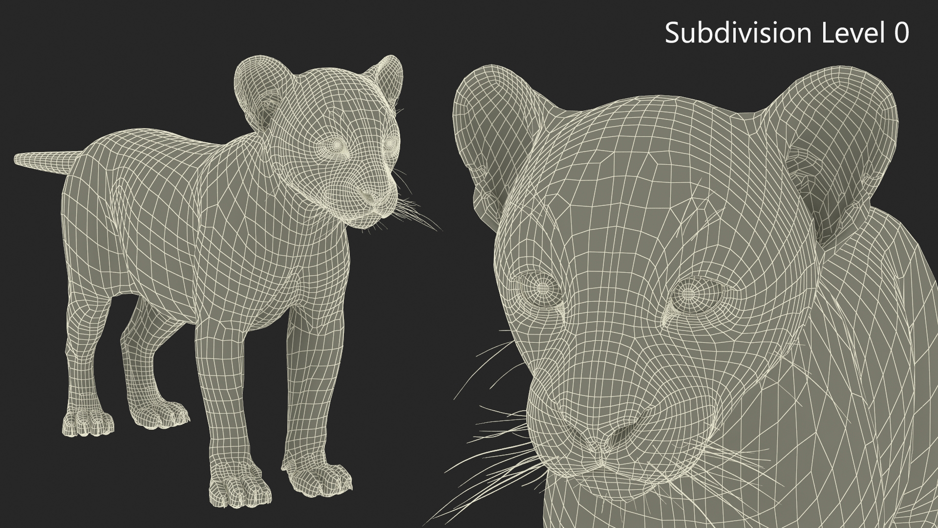 Black Panther Cub Rigged 3D model