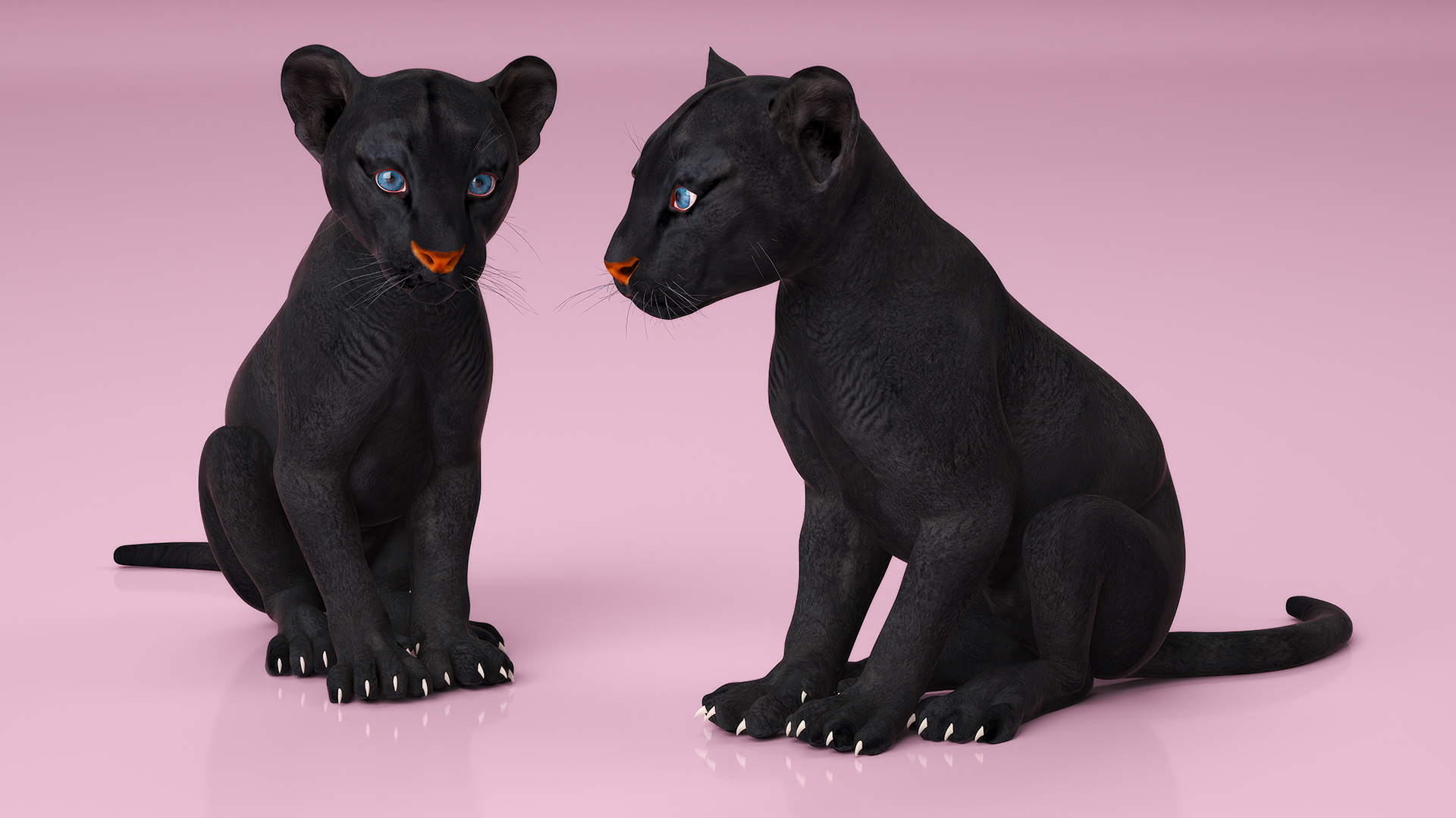 Black Panther Cub Rigged 3D model