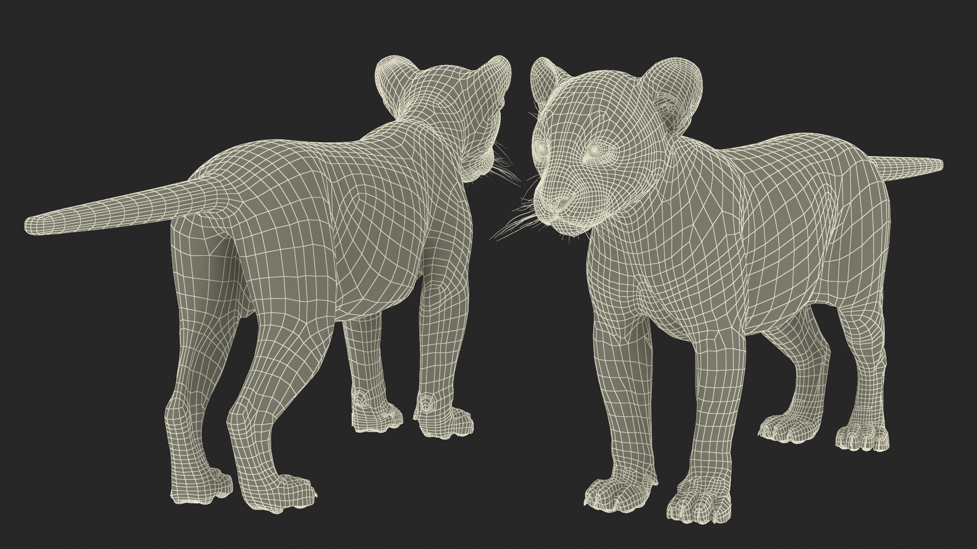 Black Panther Cub Rigged 3D model