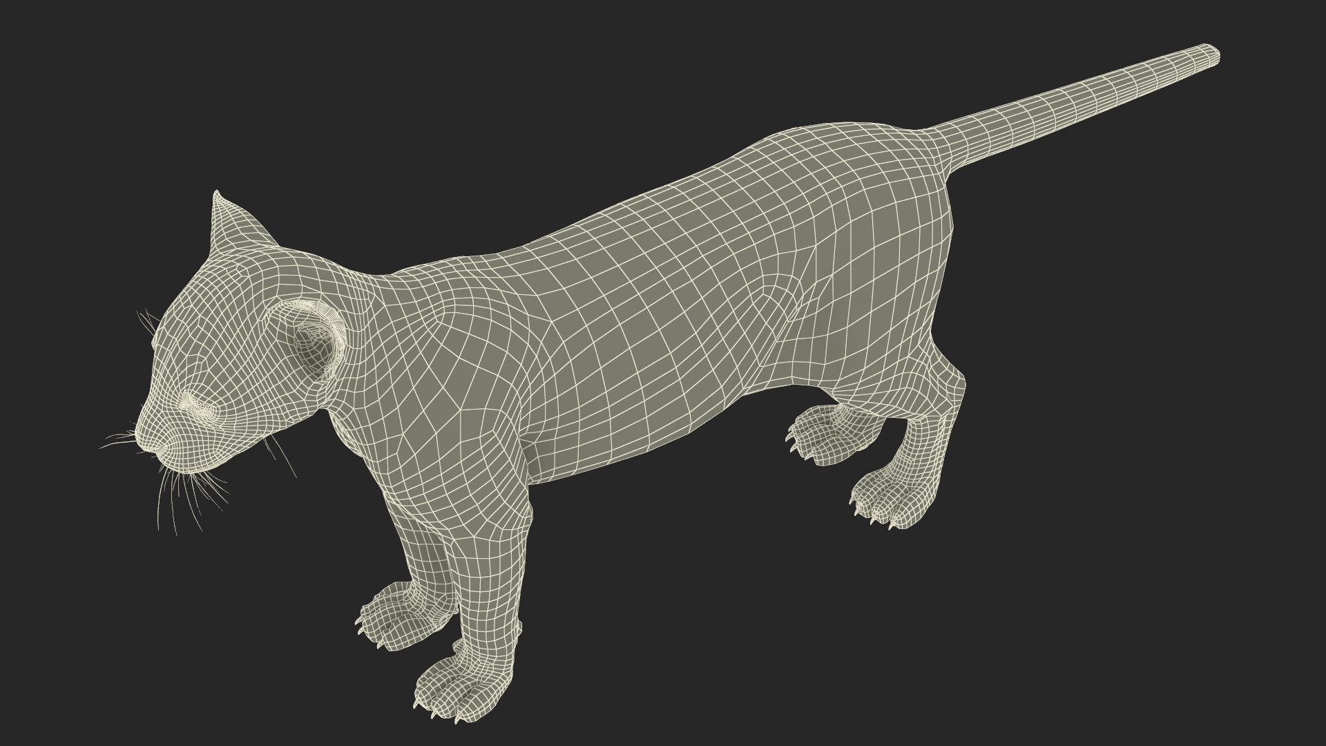 Black Panther Cub Rigged 3D model