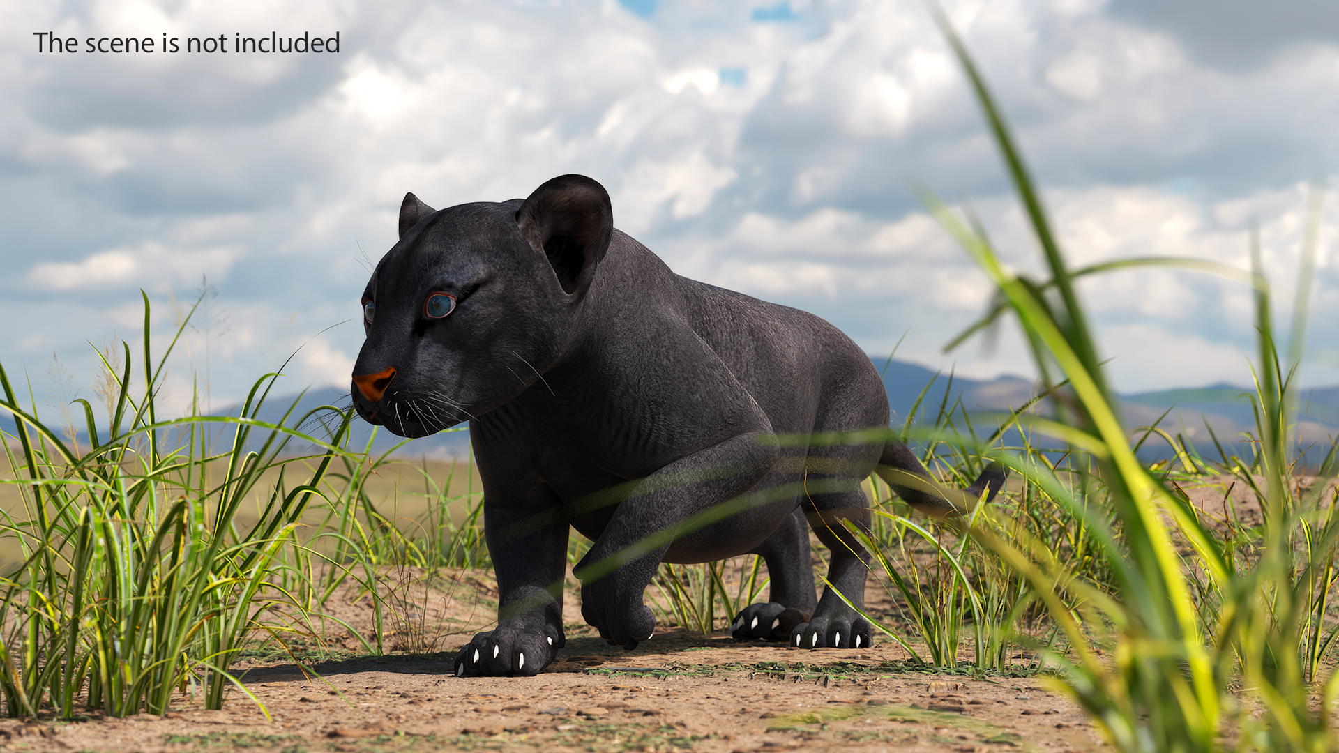 Black Panther Cub Rigged 3D model