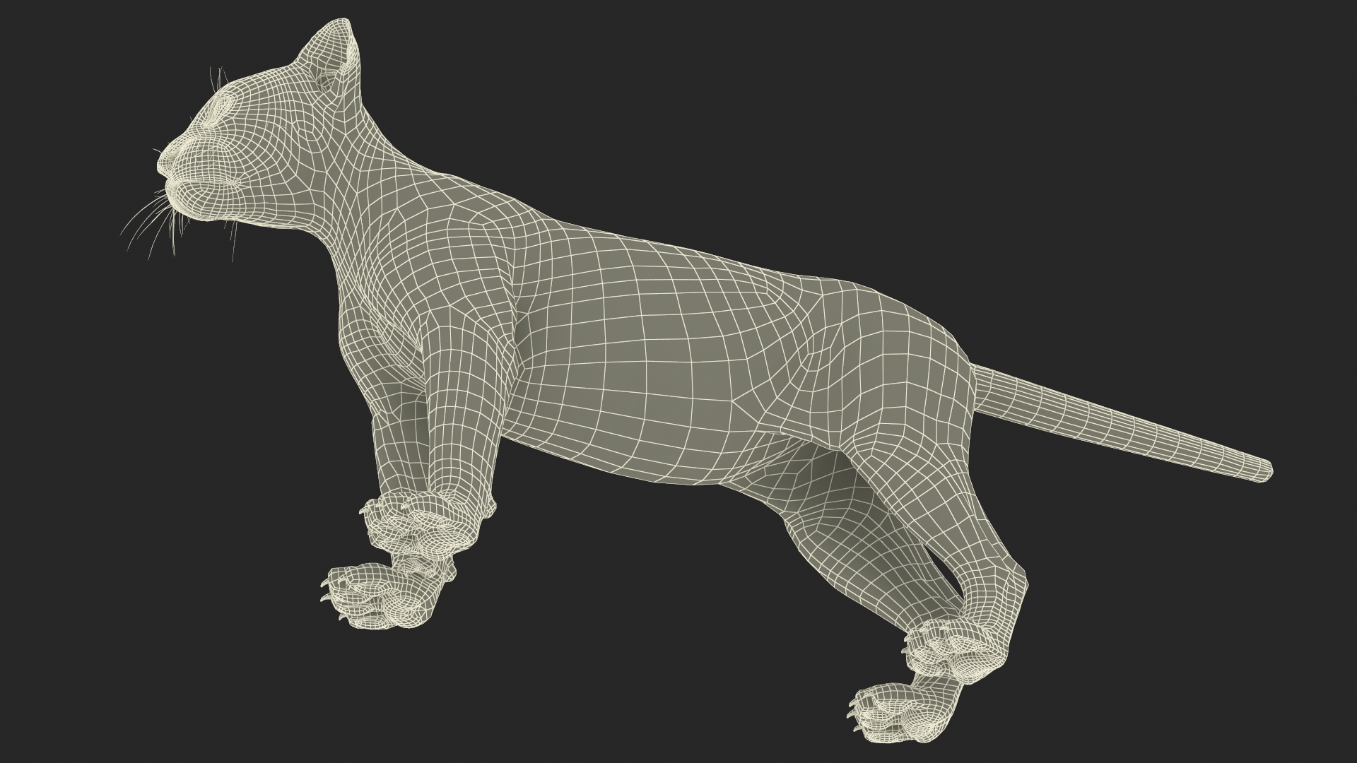 Black Panther Cub Rigged 3D model