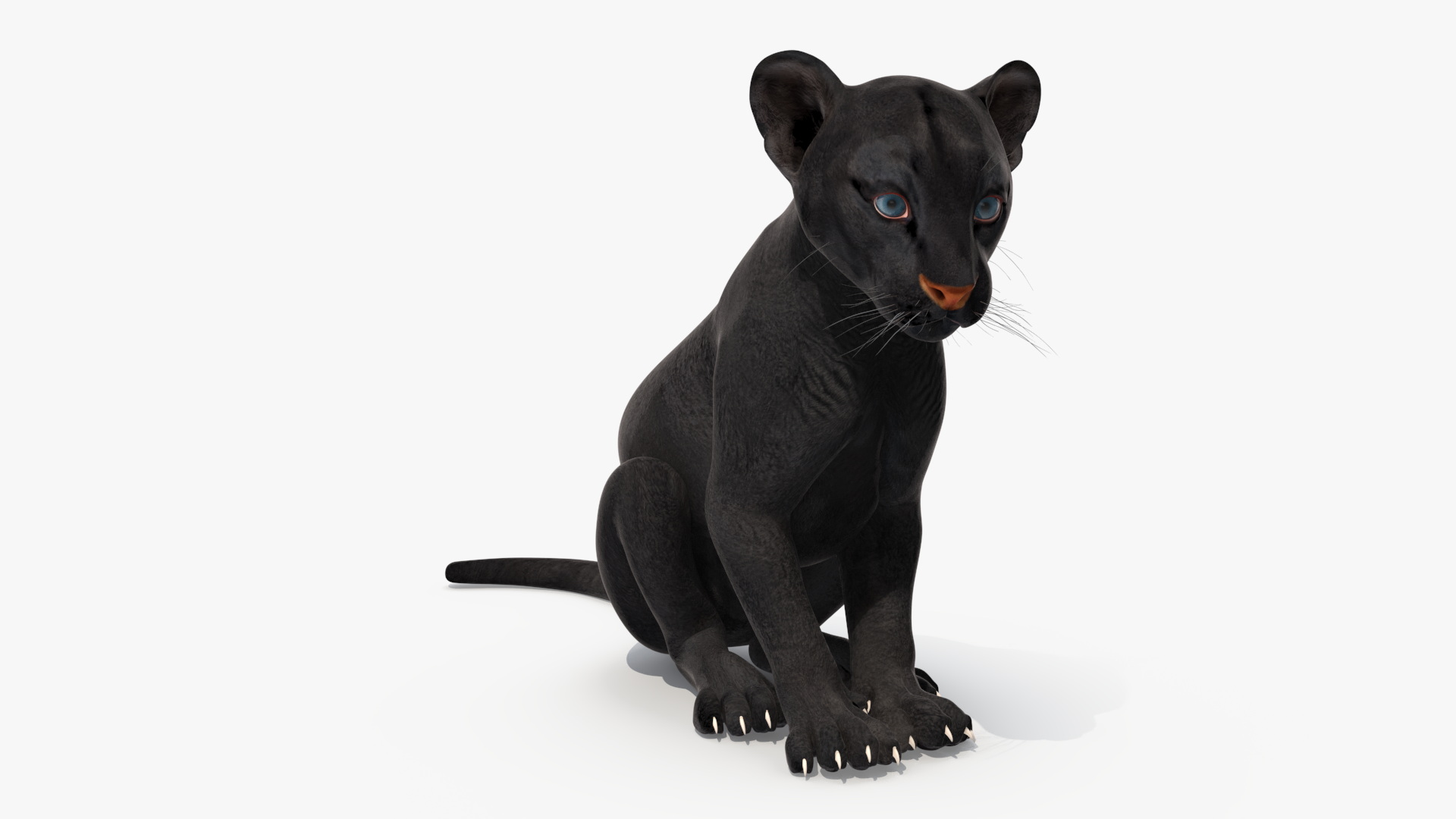 Black Panther Cub Rigged 3D model