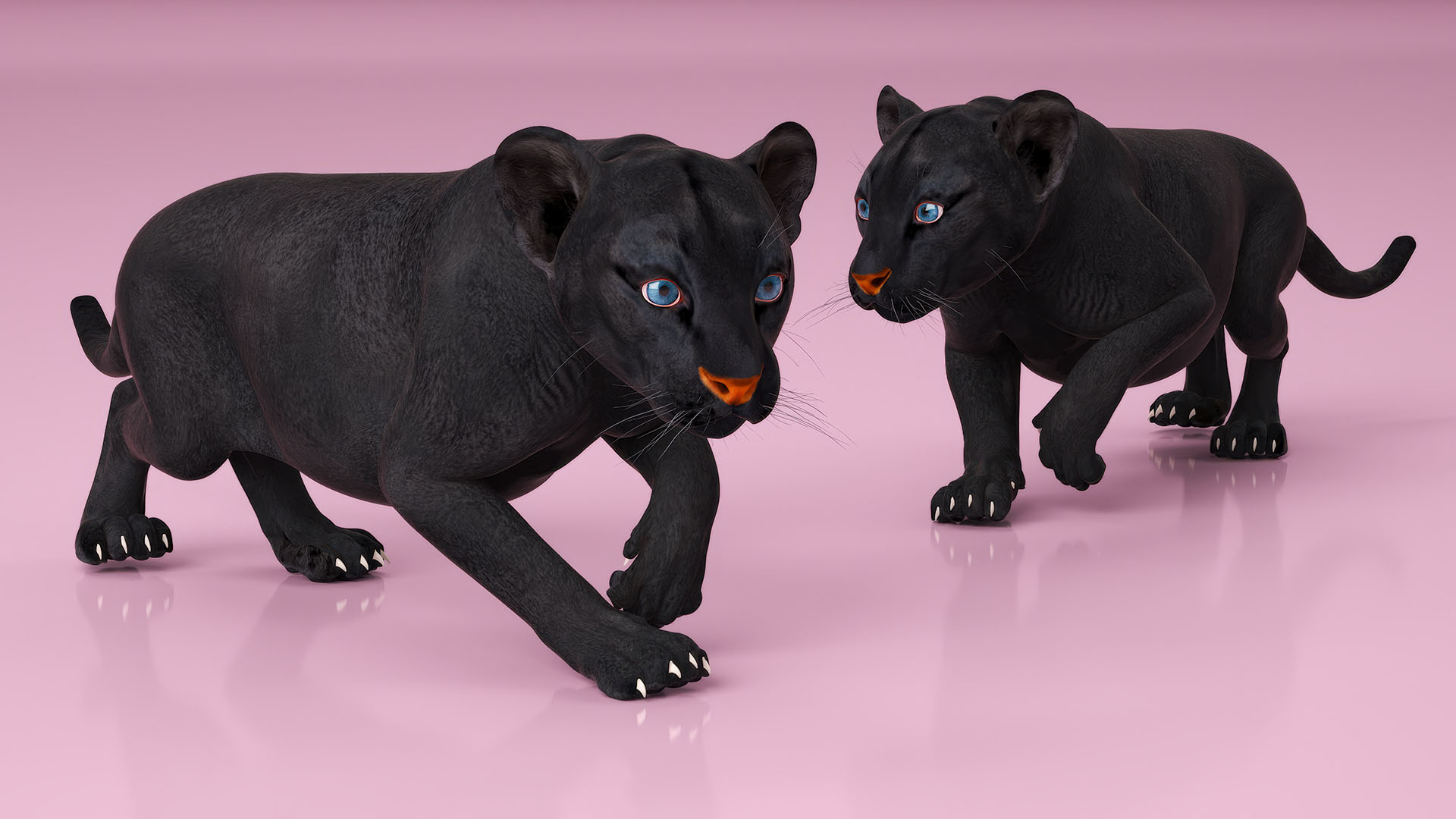 Black Panther Cub Rigged 3D model