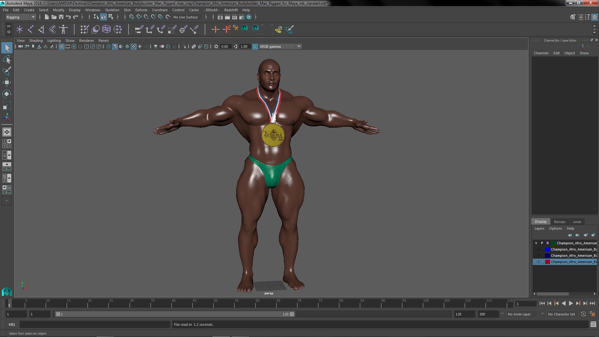 Champion Afro American Bodybuilder Man Rigged for Maya 3D model