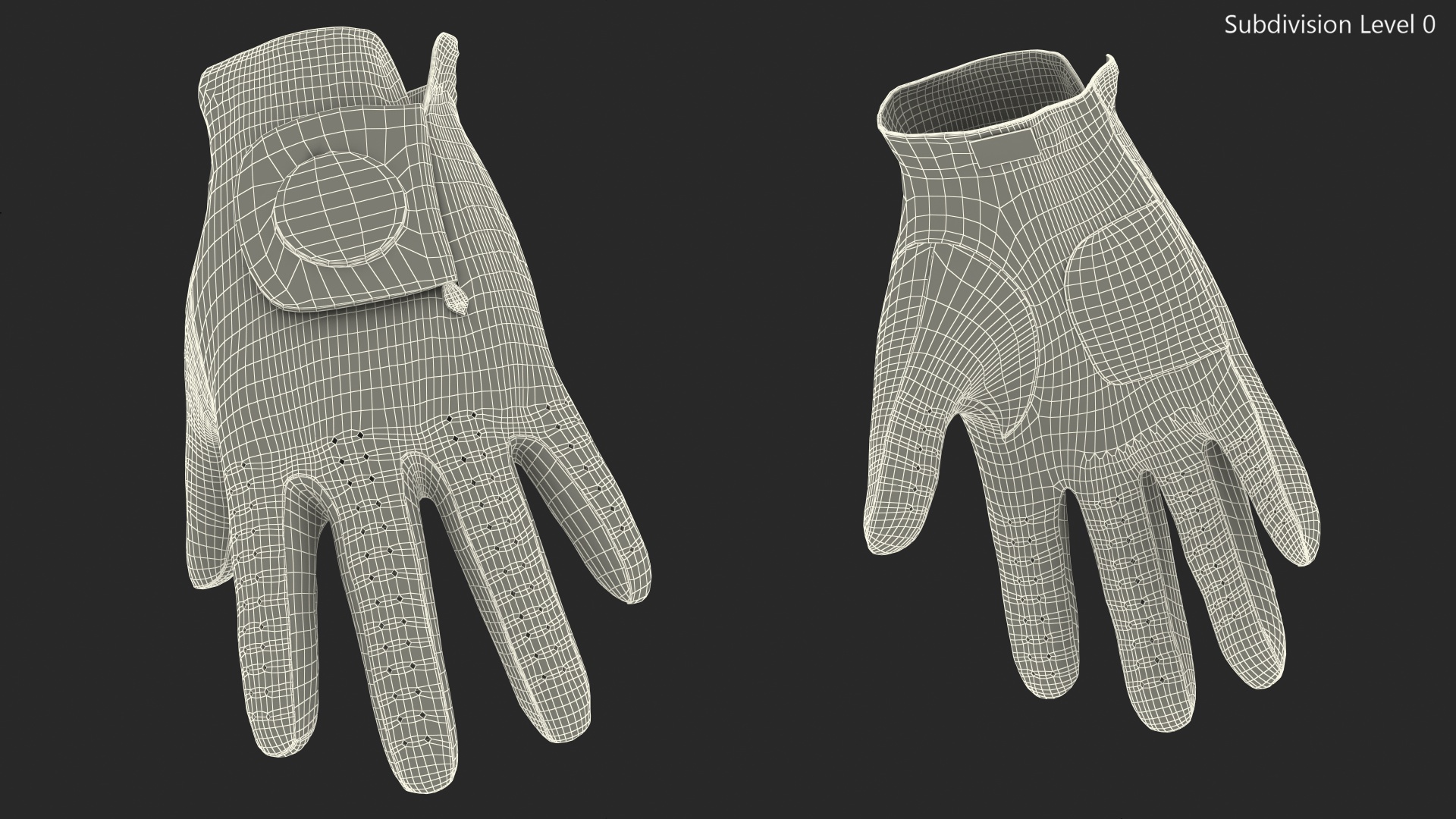 3D Premium Golf Gloves Asher White