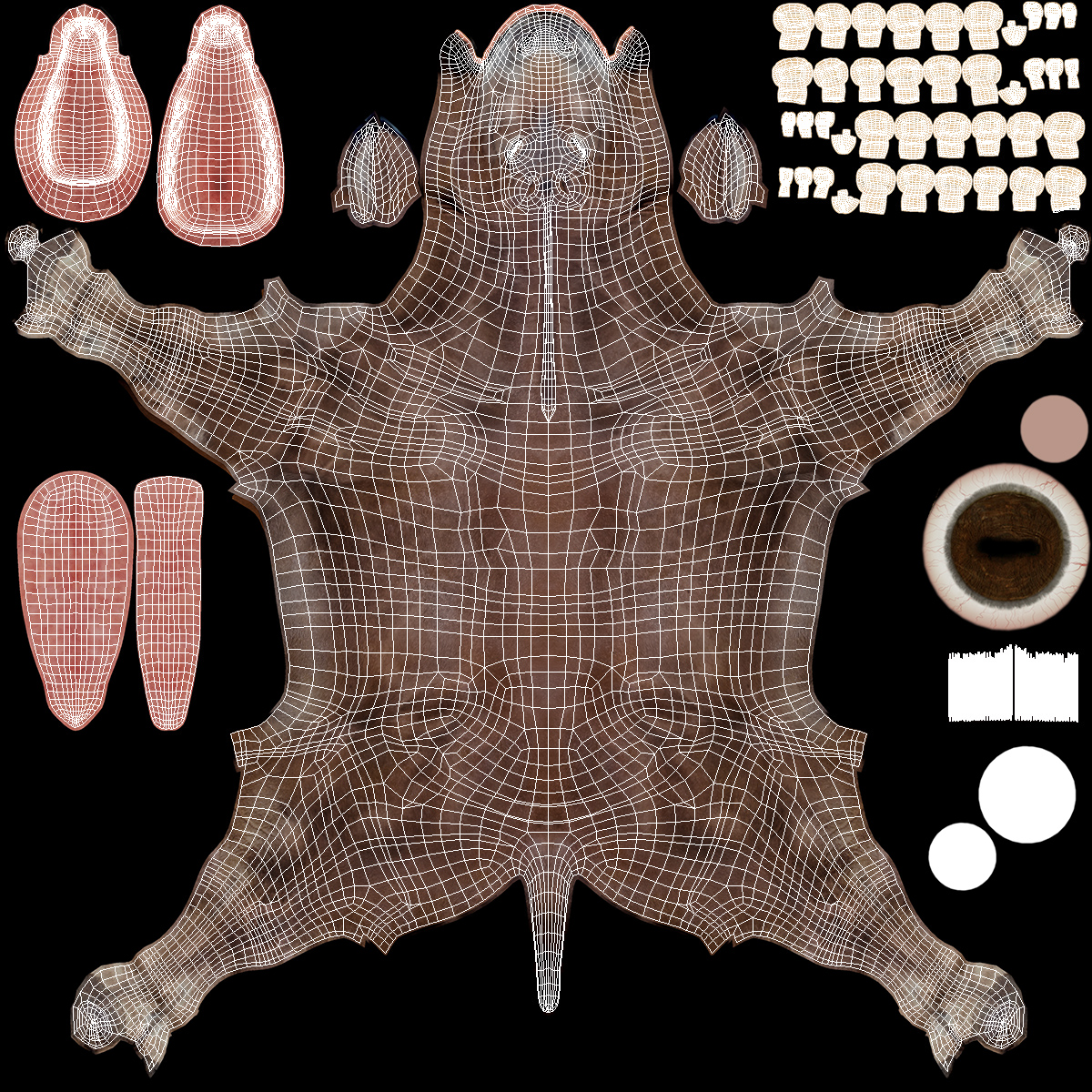Bay Mule Fur 3D