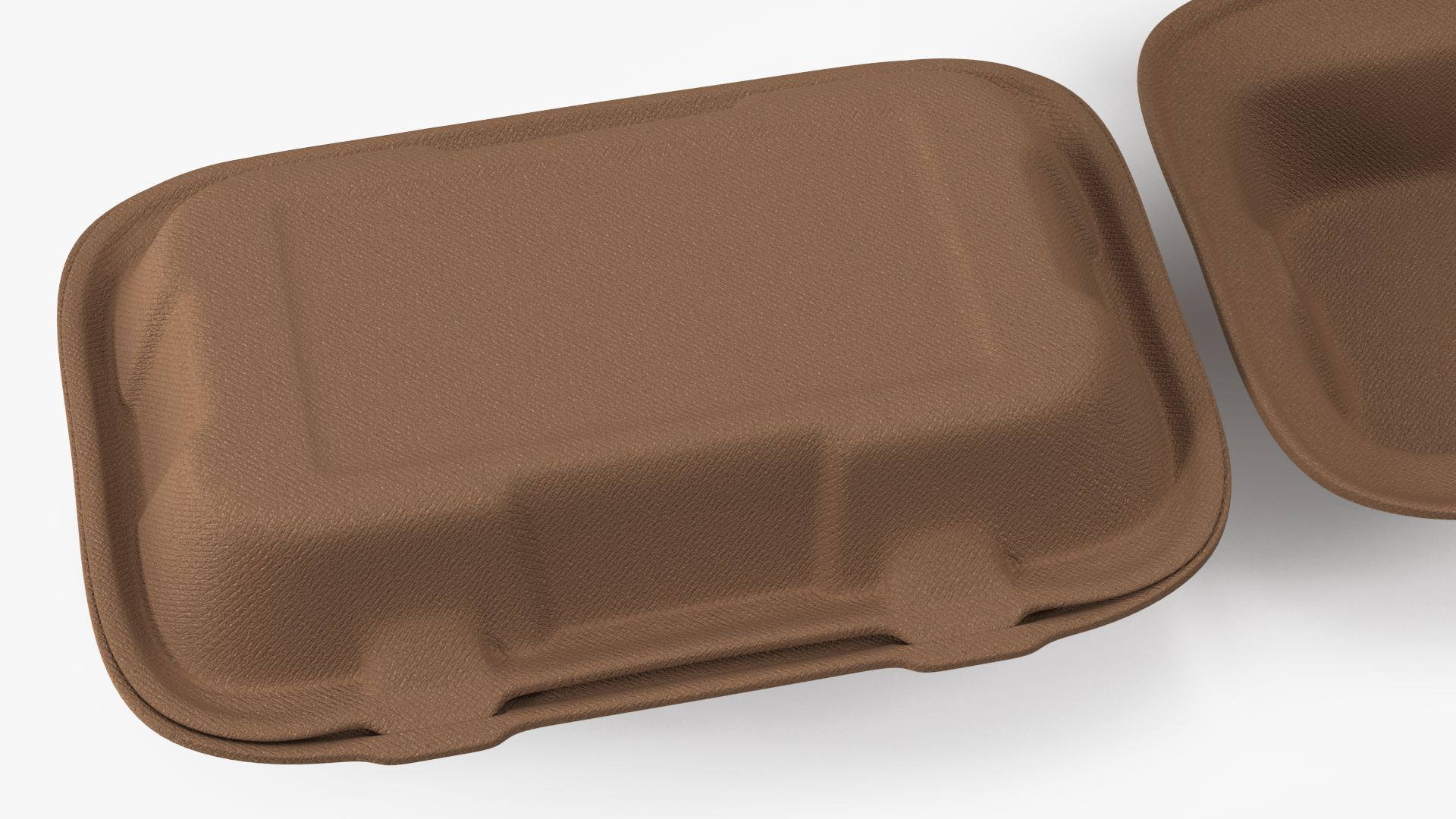 Biodegradable Lunch Box Set 3D