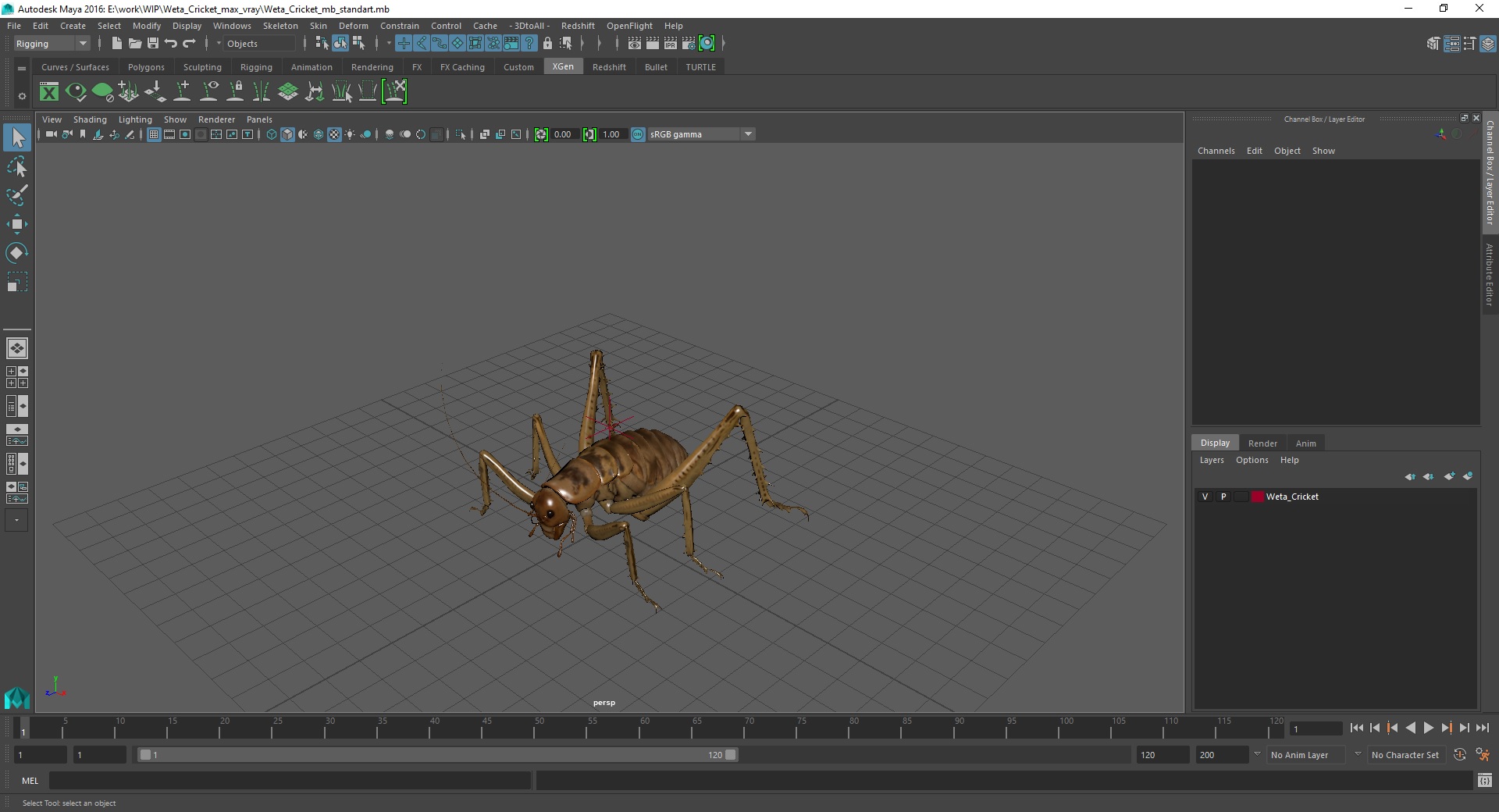 Weta Cricket 3D