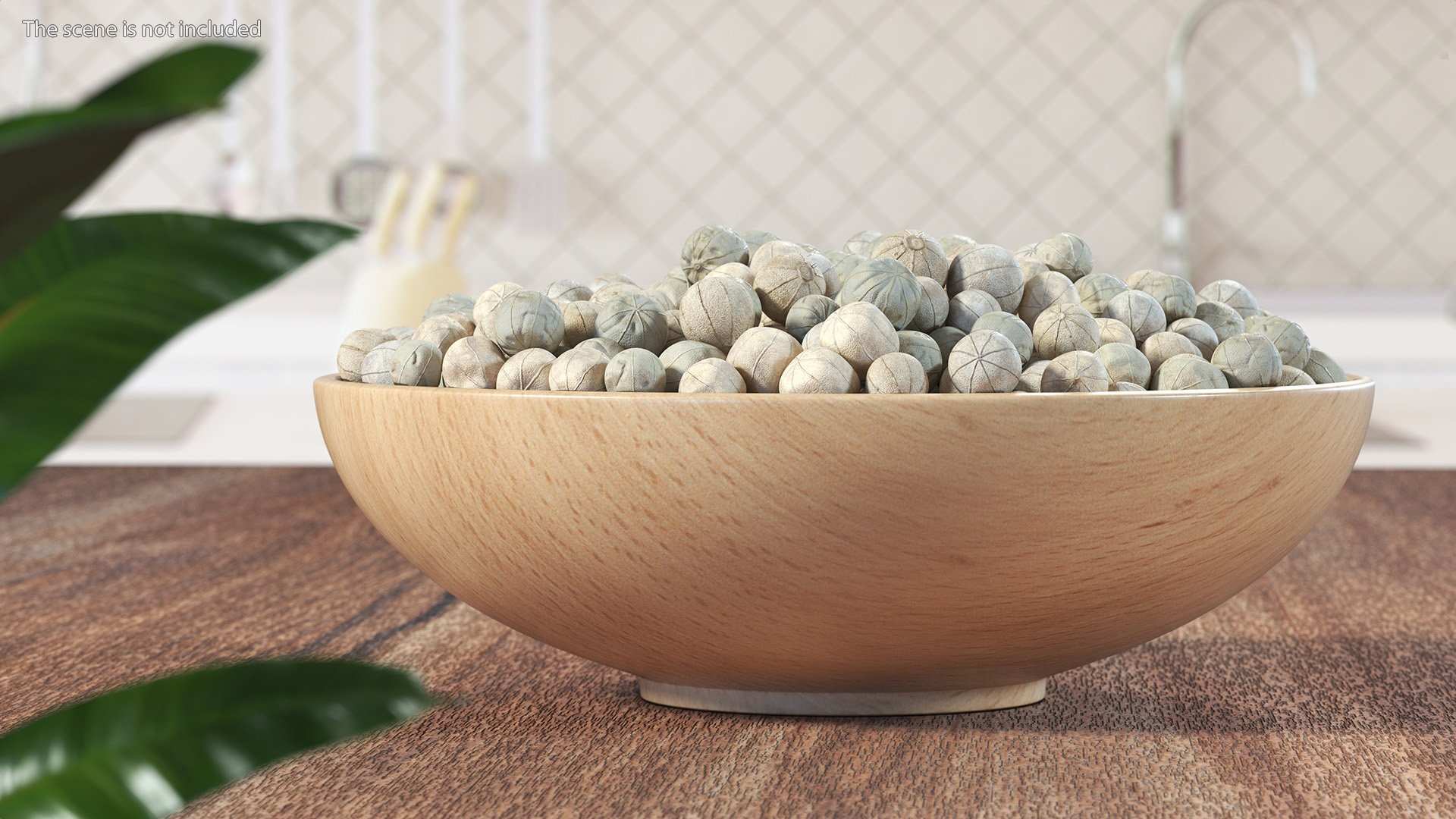 Wooden Bowl with White Dried Peppercorn 3D model