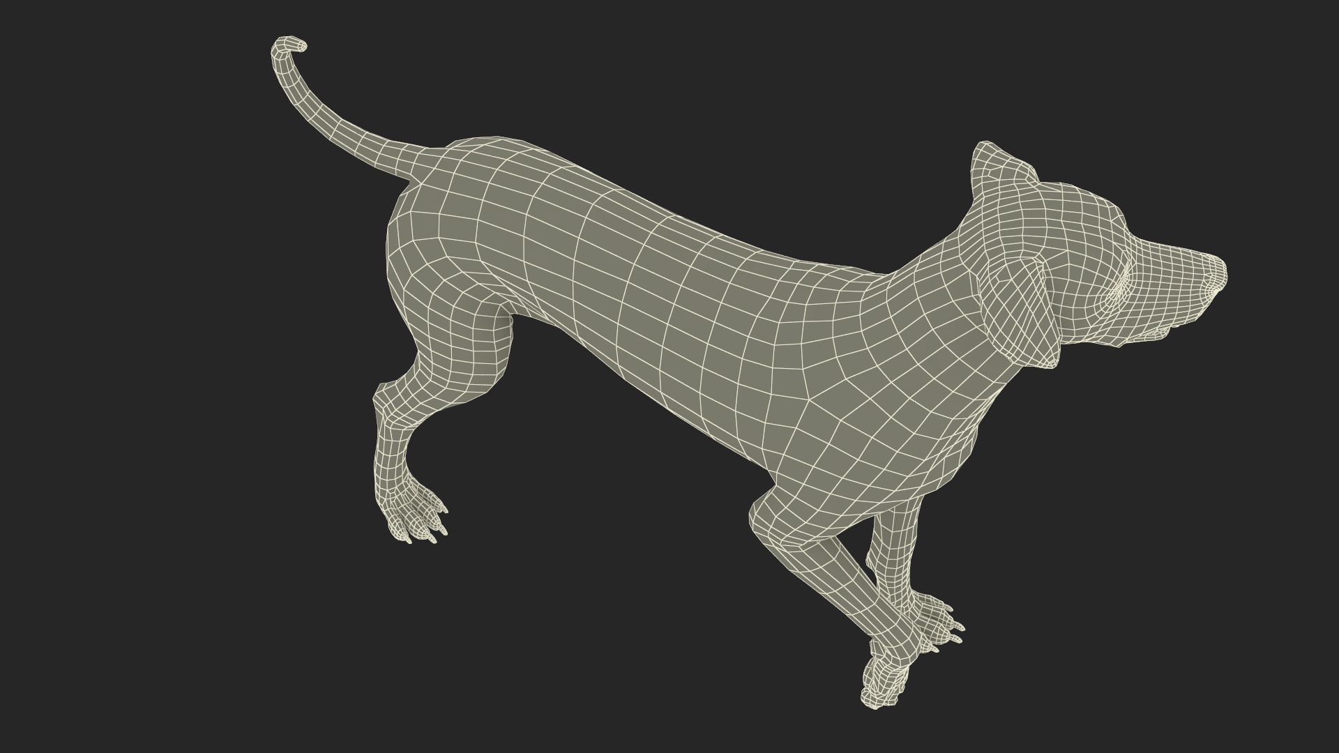 Dalmatian Dog Standing Pose 3D