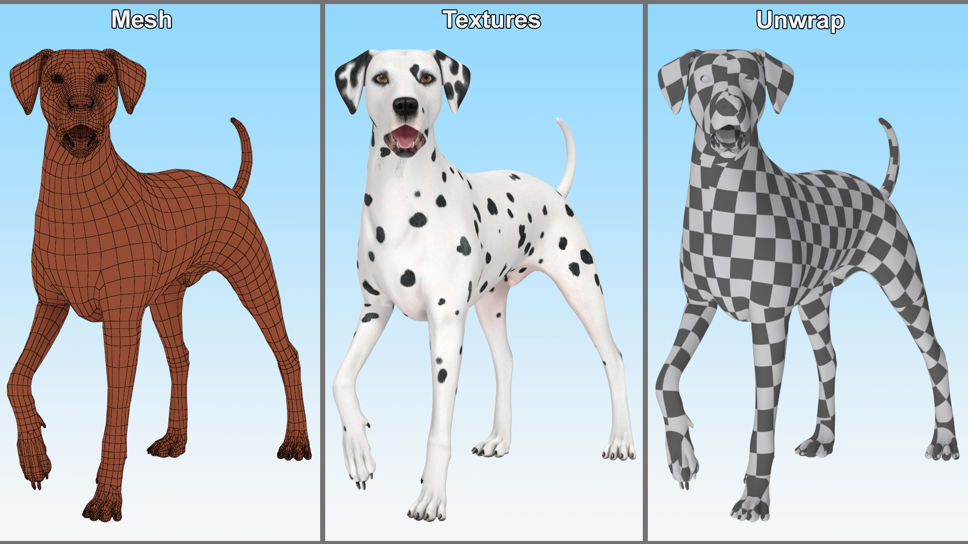 Dalmatian Dog Standing Pose 3D