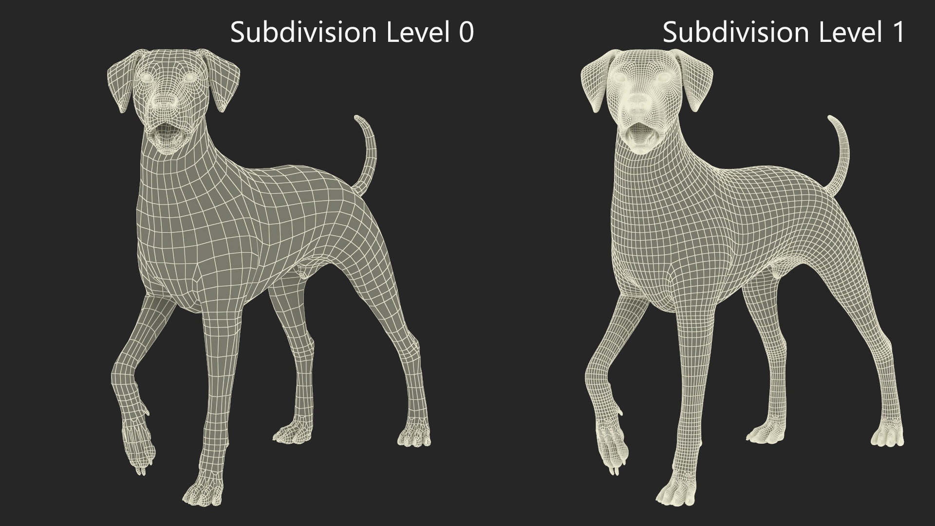 Dalmatian Dog Standing Pose 3D