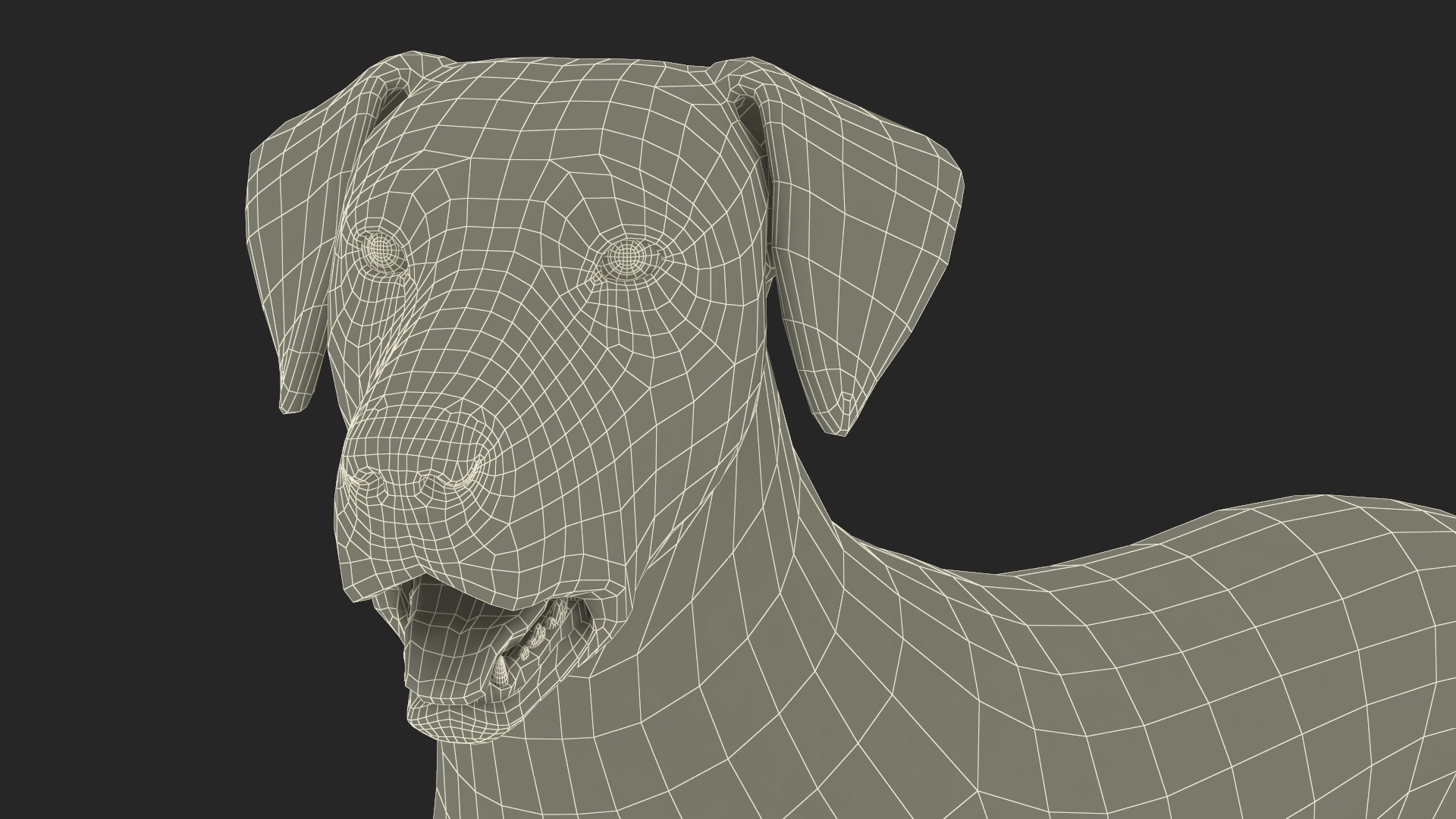 Dalmatian Dog Standing Pose 3D