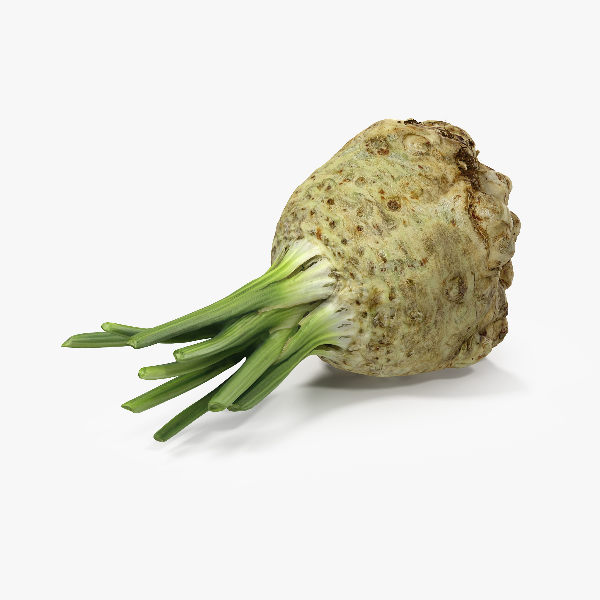 Celery Root