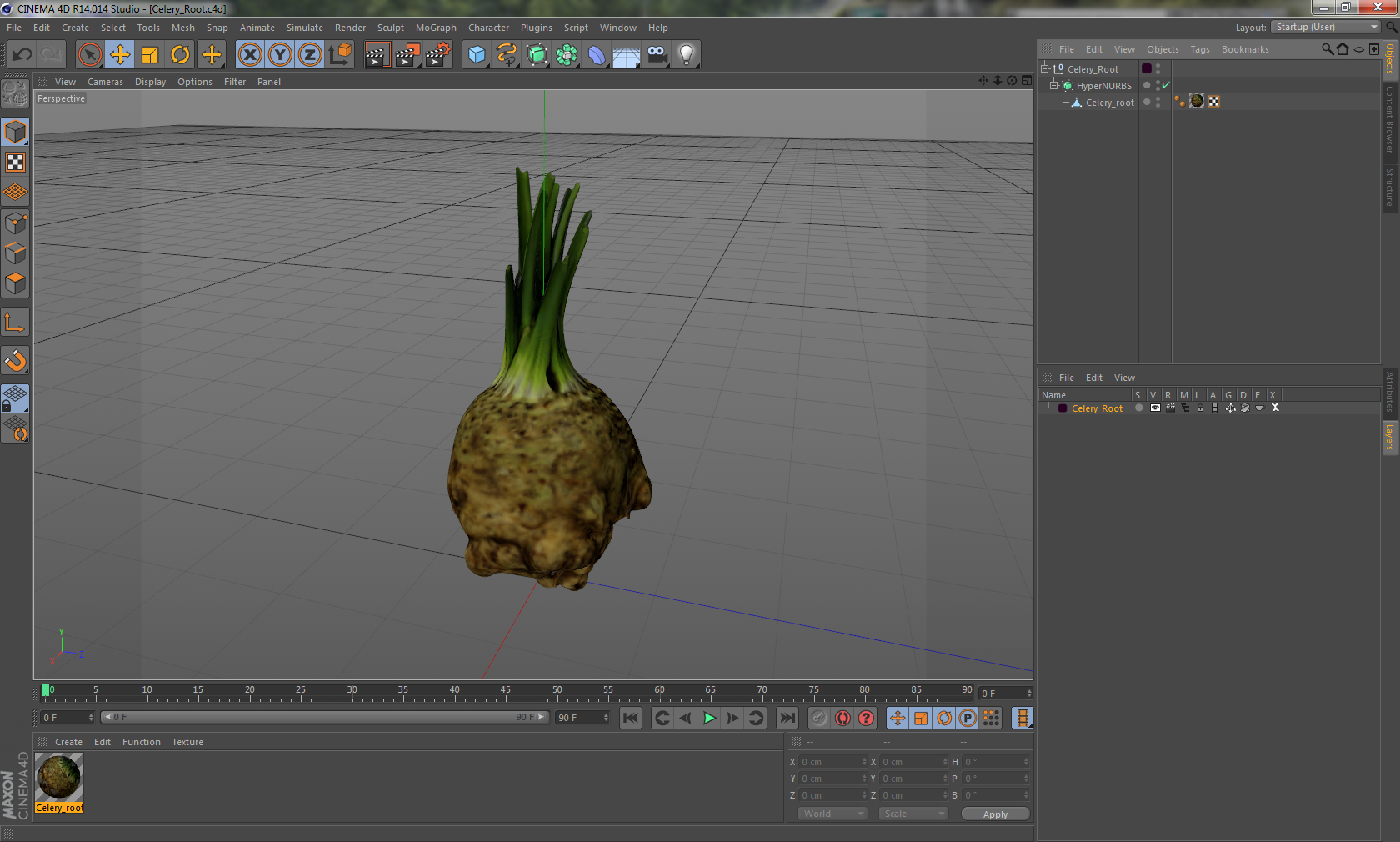 3D Celery Root