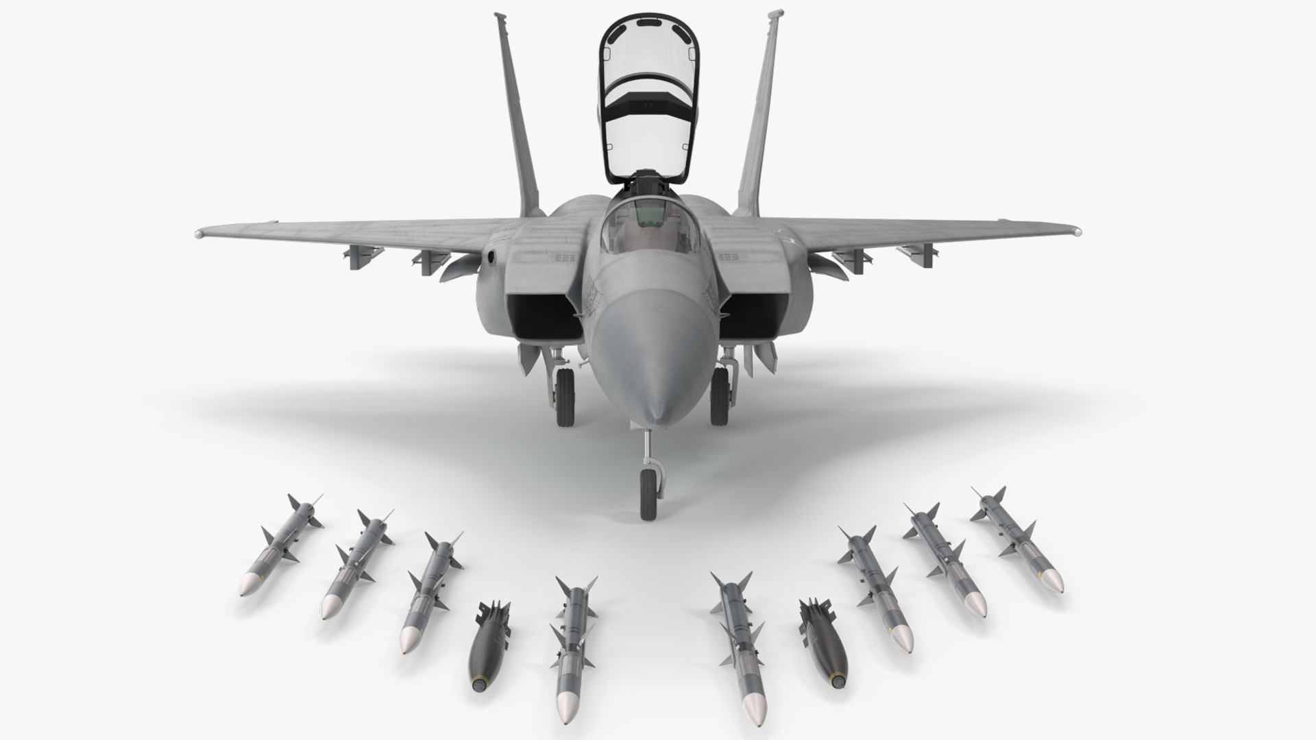 F-15 Tactical Combat Aircraft, view 4