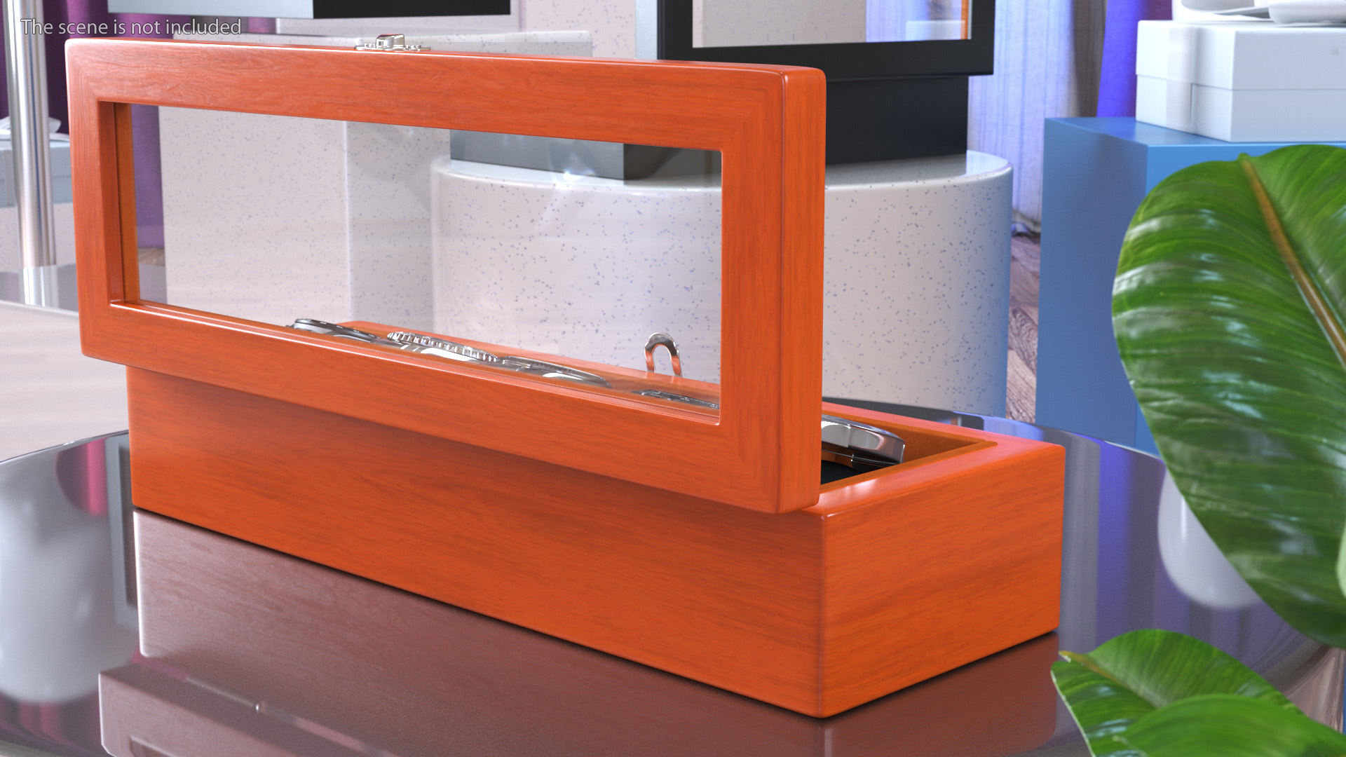 Watch Display Box with Watch Set 3D