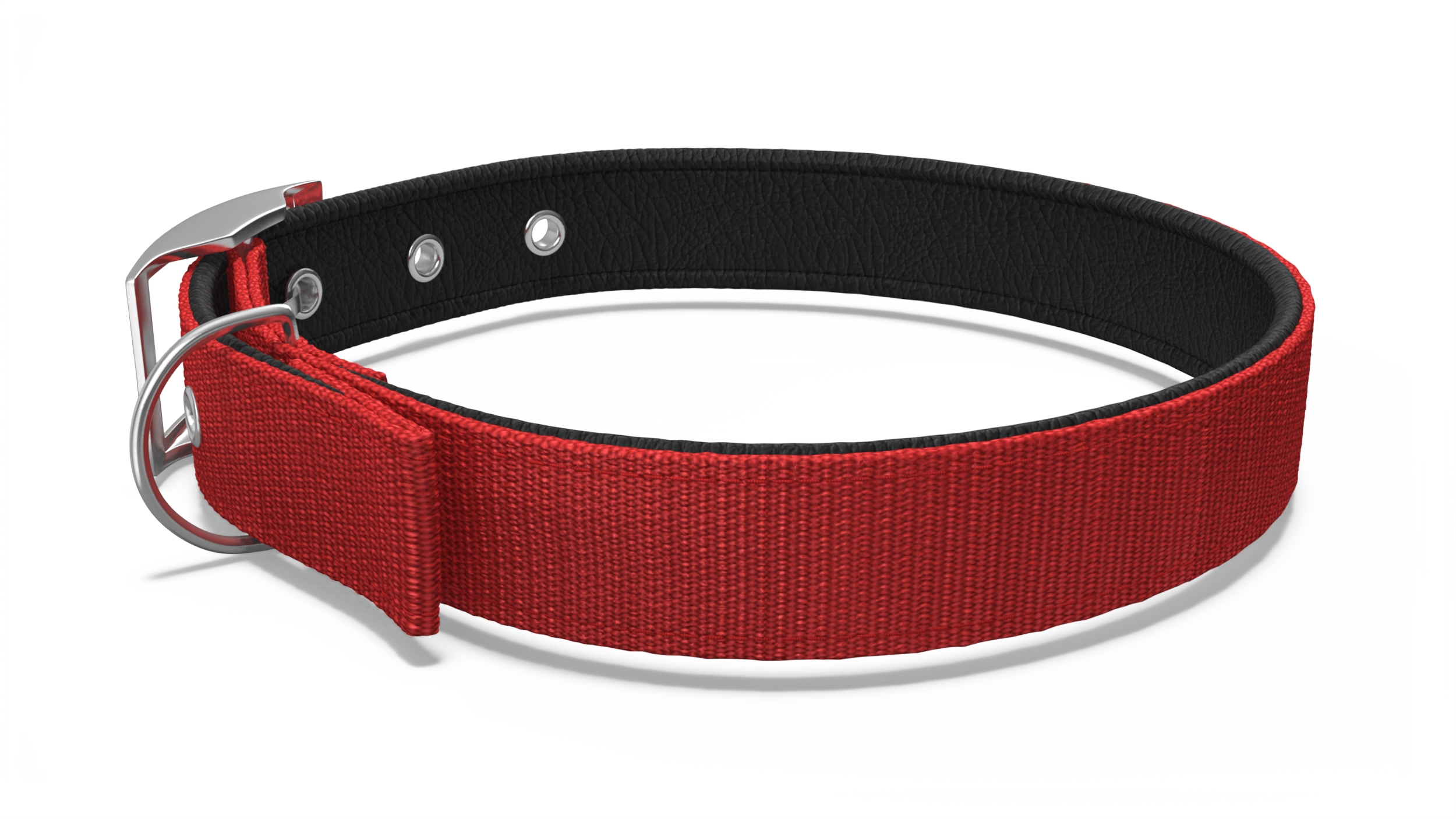 3D Pet Collar with Metal Buckle model