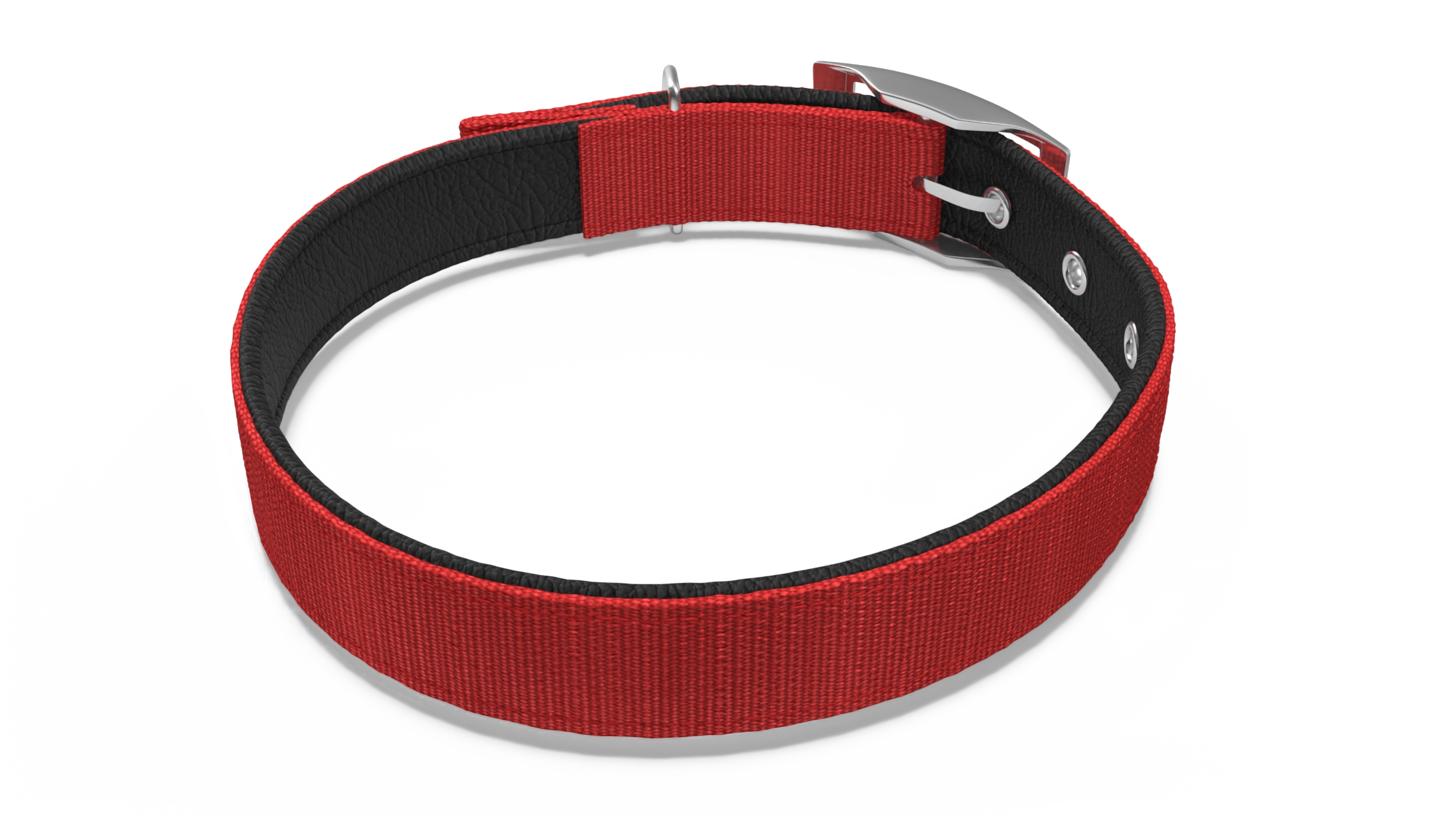 3D Pet Collar with Metal Buckle model