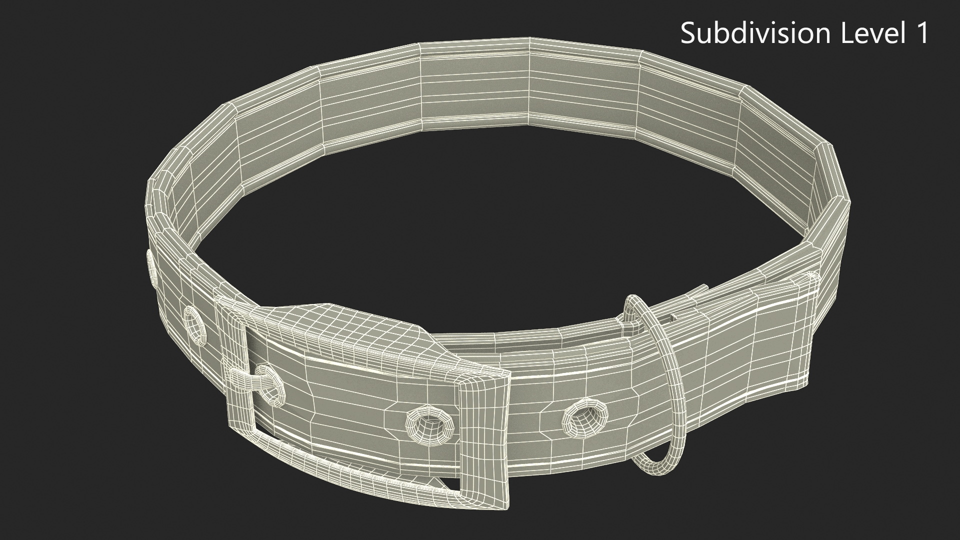 3D Pet Collar with Metal Buckle model