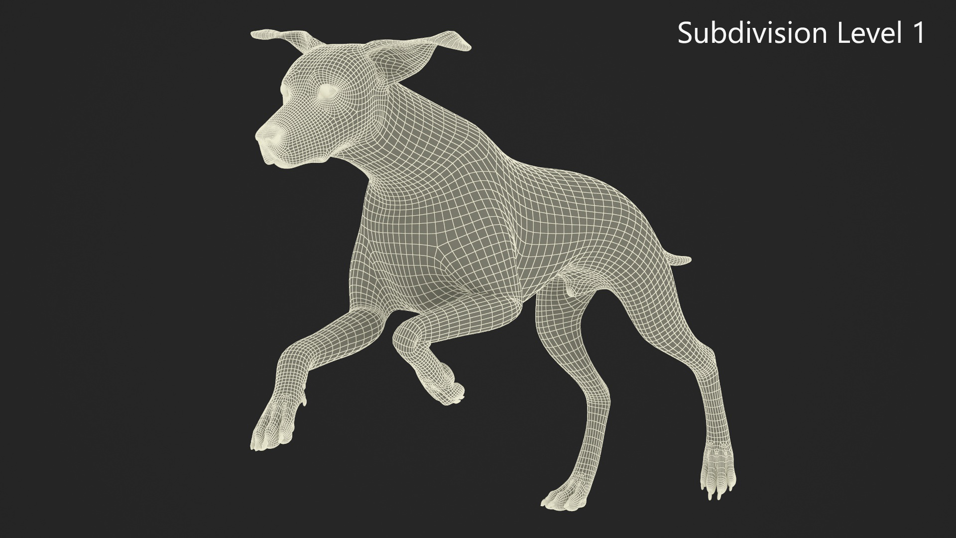3D Running Spotted Dalmatian Dog Fur model