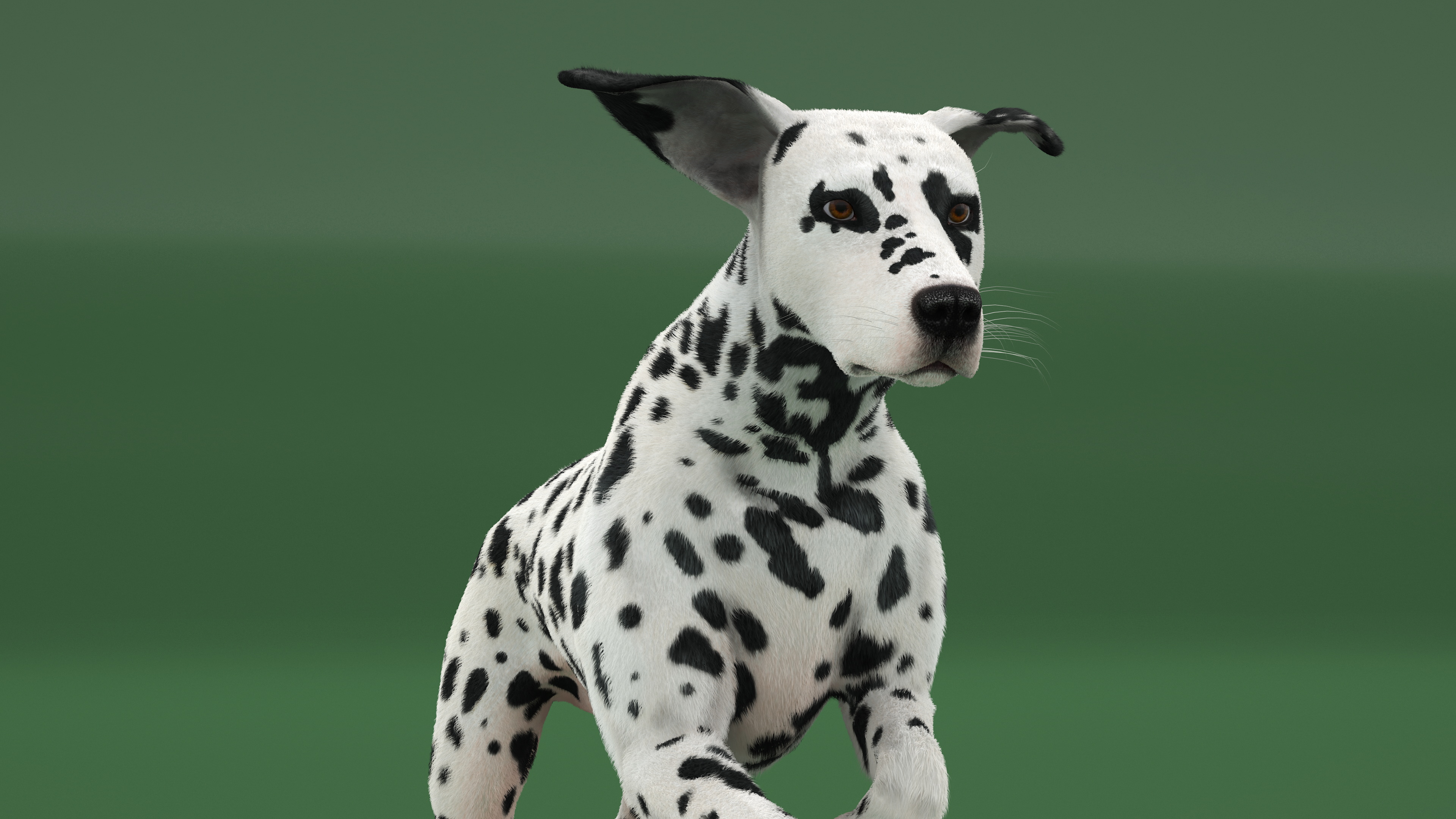 3D Running Spotted Dalmatian Dog Fur model