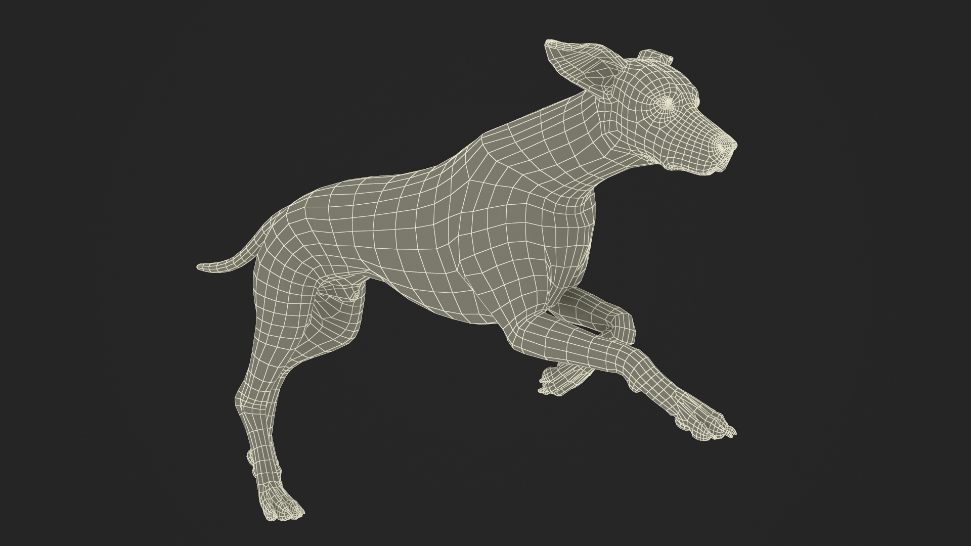 3D Running Spotted Dalmatian Dog Fur model