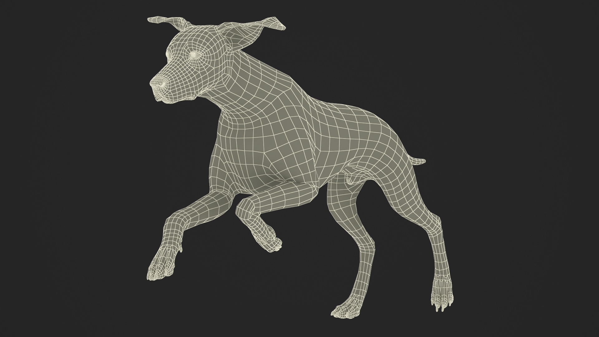 3D Running Spotted Dalmatian Dog Fur model