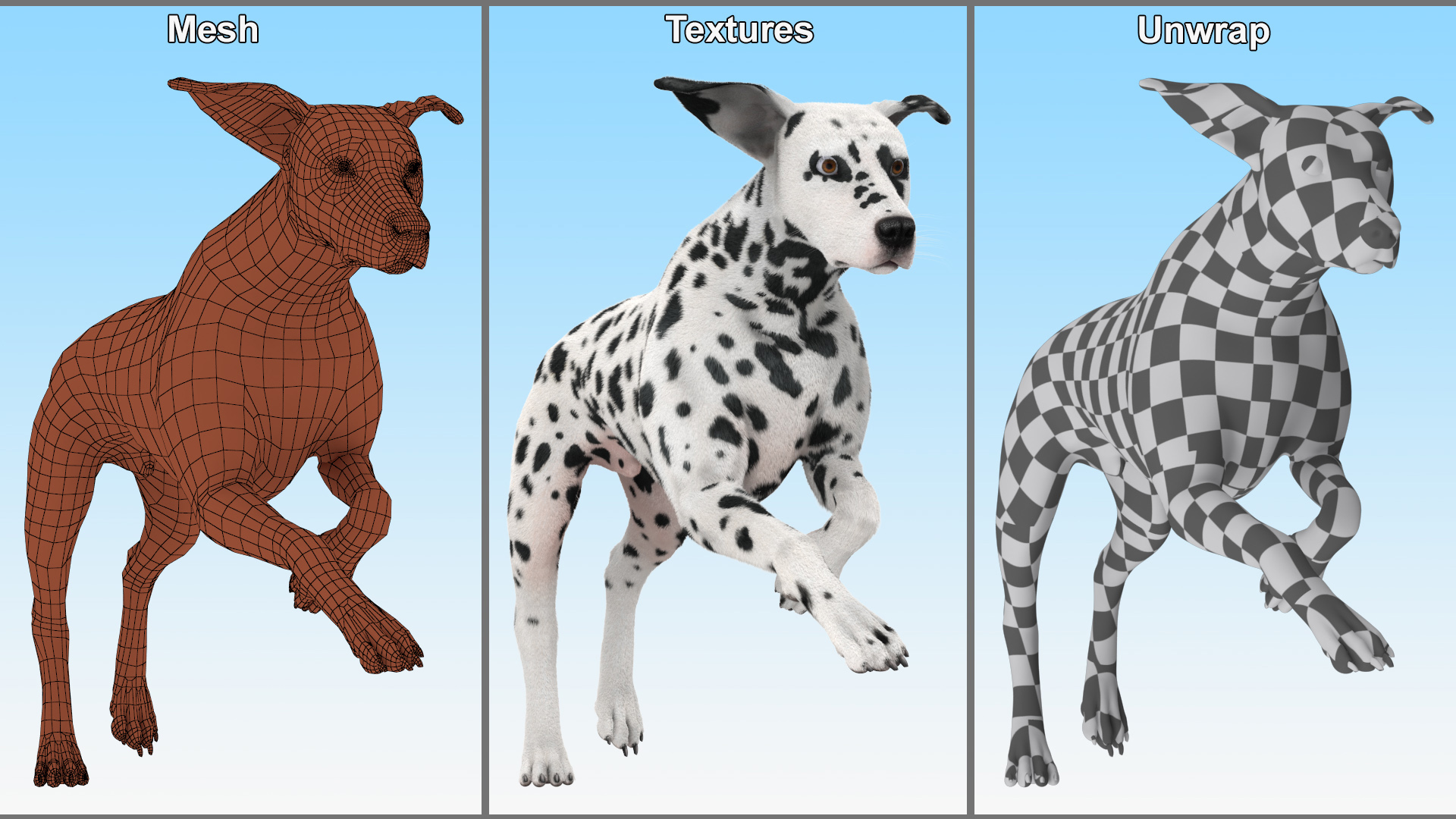 3D Running Spotted Dalmatian Dog Fur model