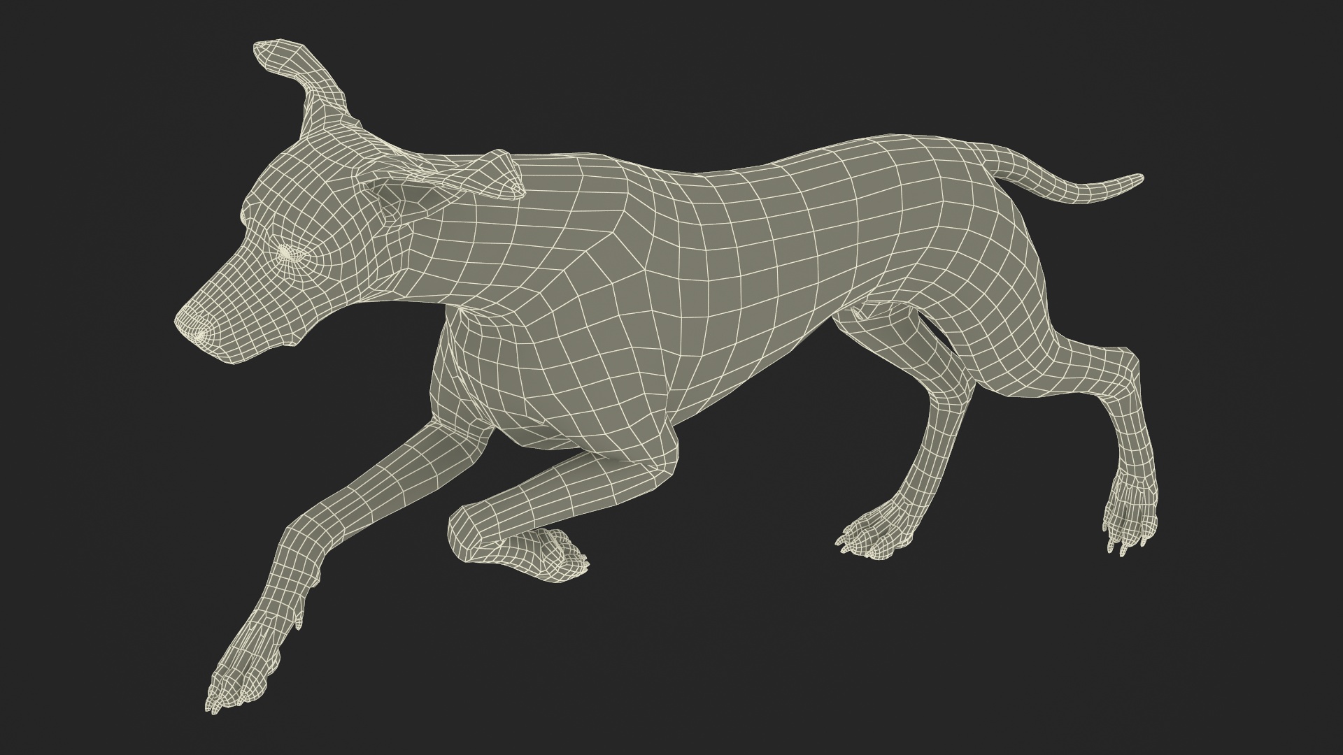 3D Running Spotted Dalmatian Dog Fur model