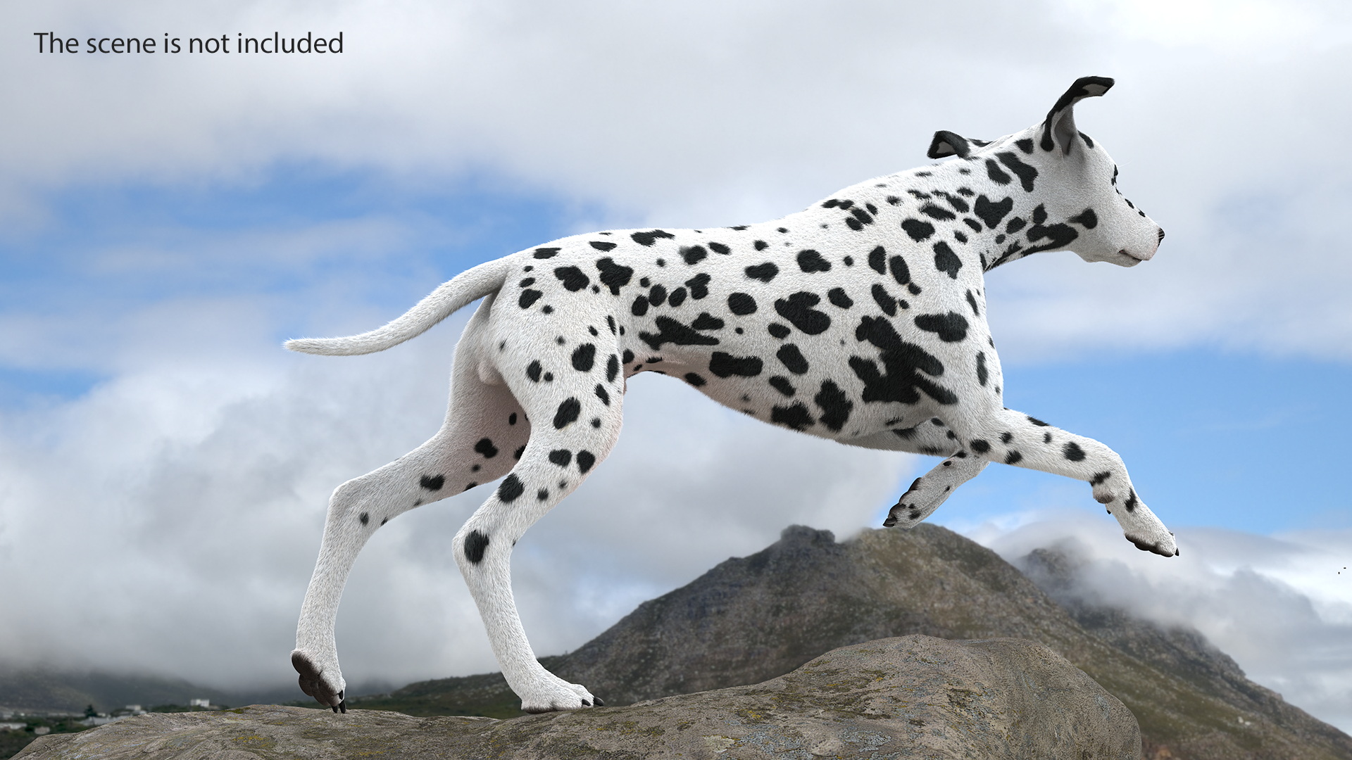 3D Running Spotted Dalmatian Dog Fur model