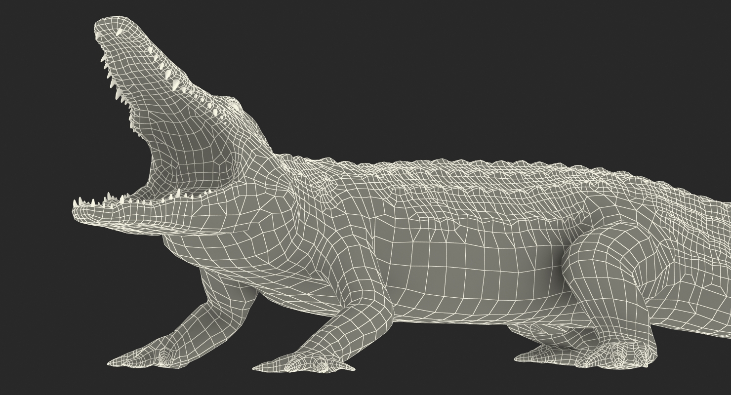 Crocodile Attacks 3D