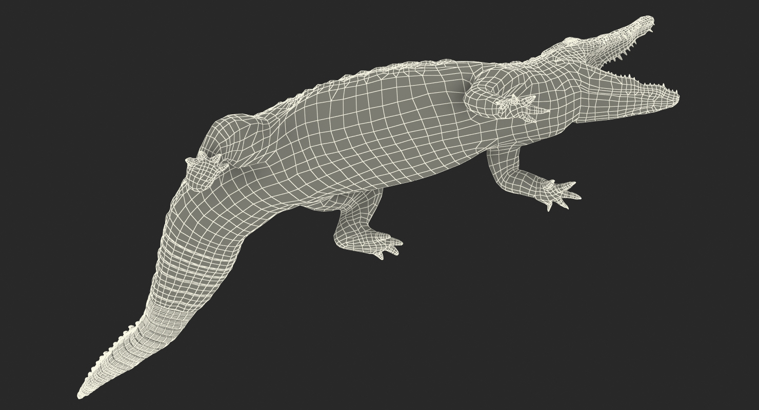 Crocodile Attacks 3D