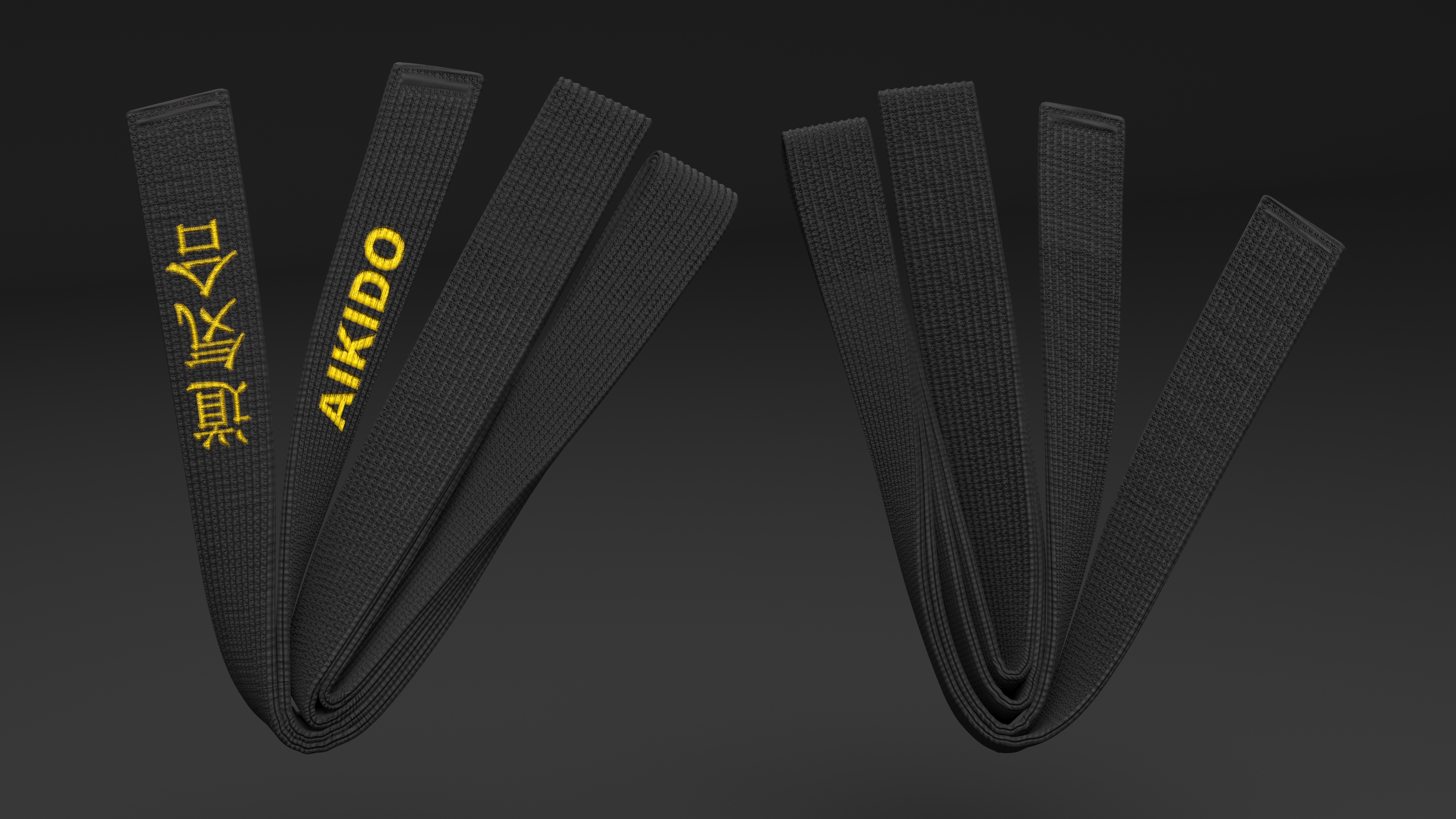 3D Aikido Black Obi Belt